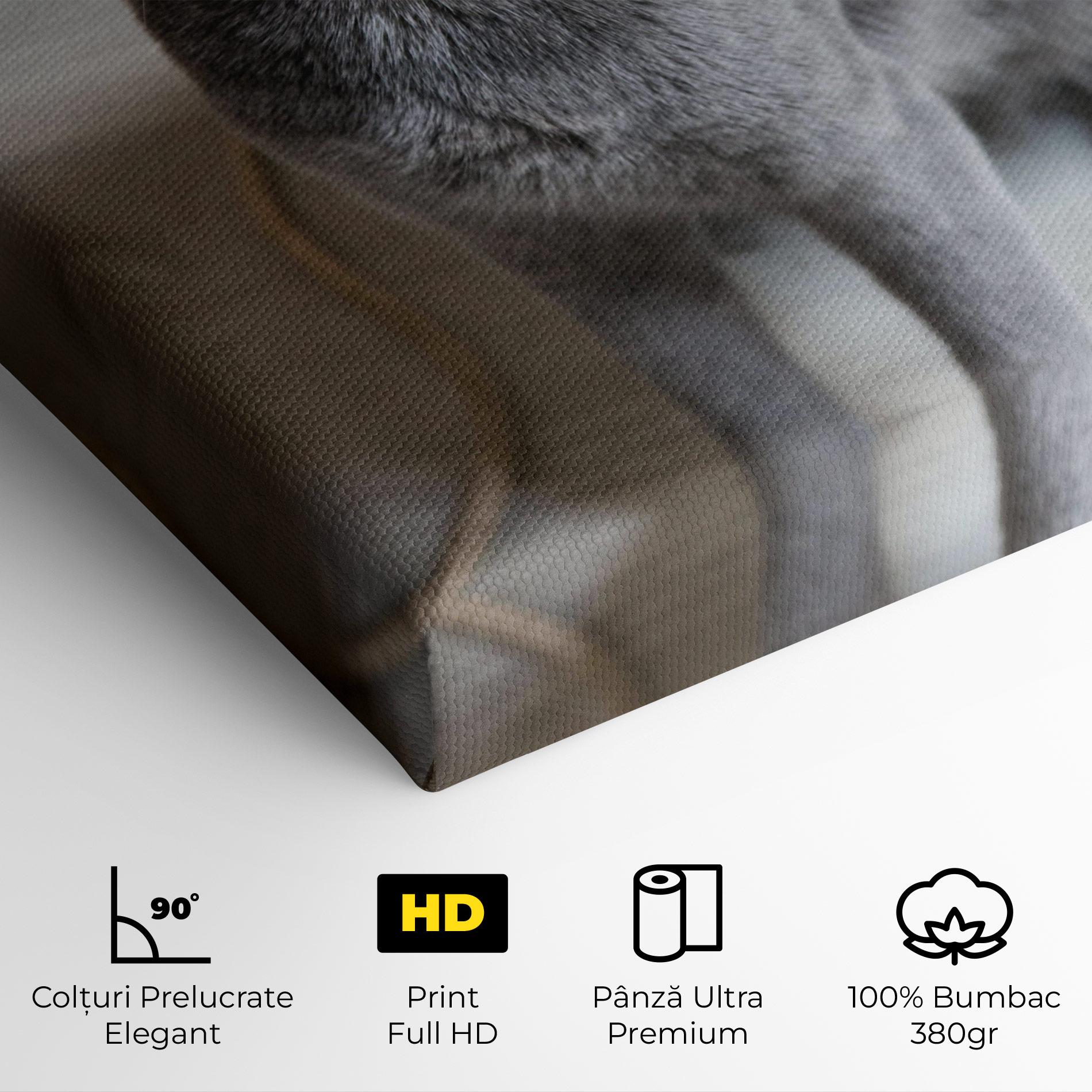 Tablou Canvas Grey Green Cat Eyes mockup 4