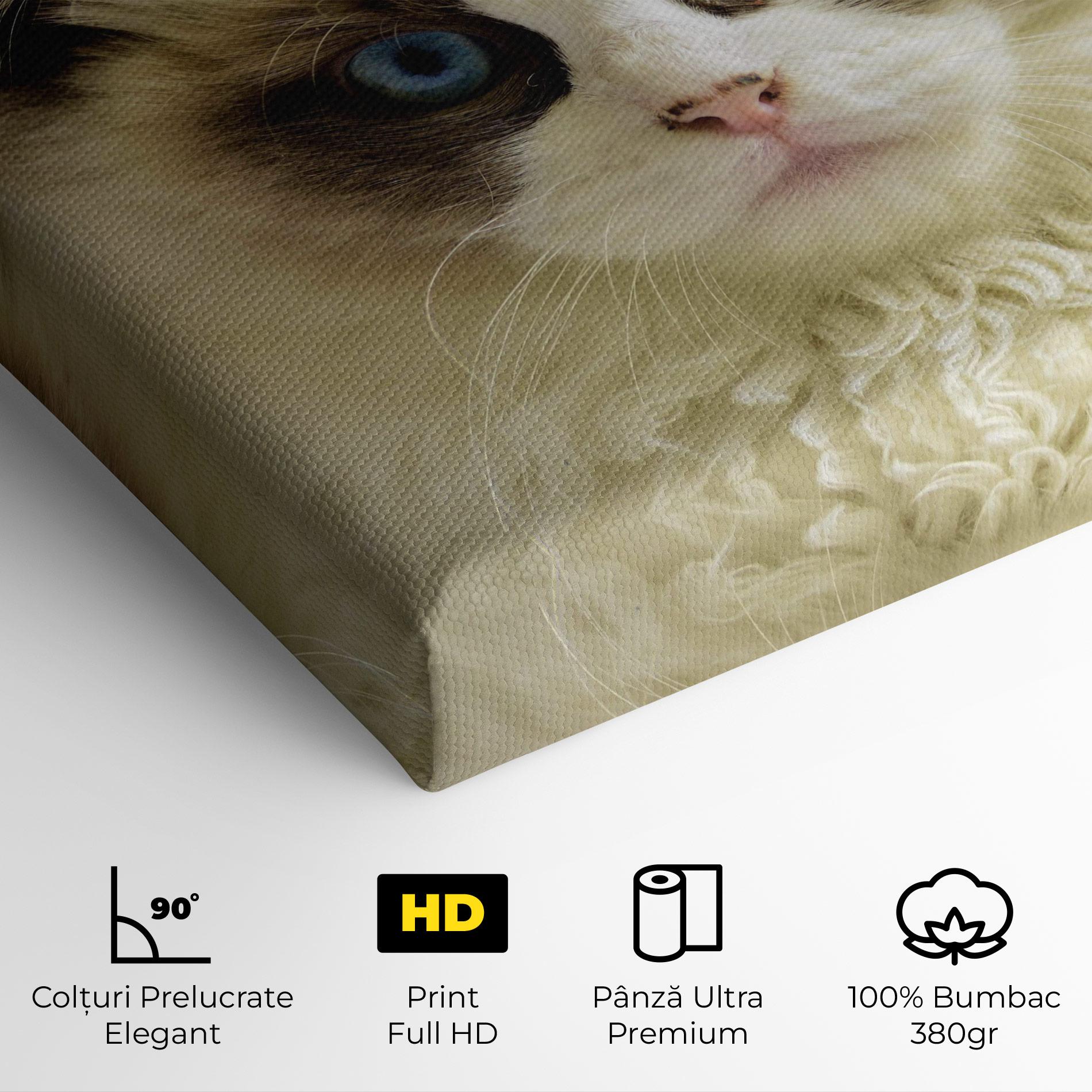 Tablou Canvas Interesting Blue Eyes Cat mockup 4