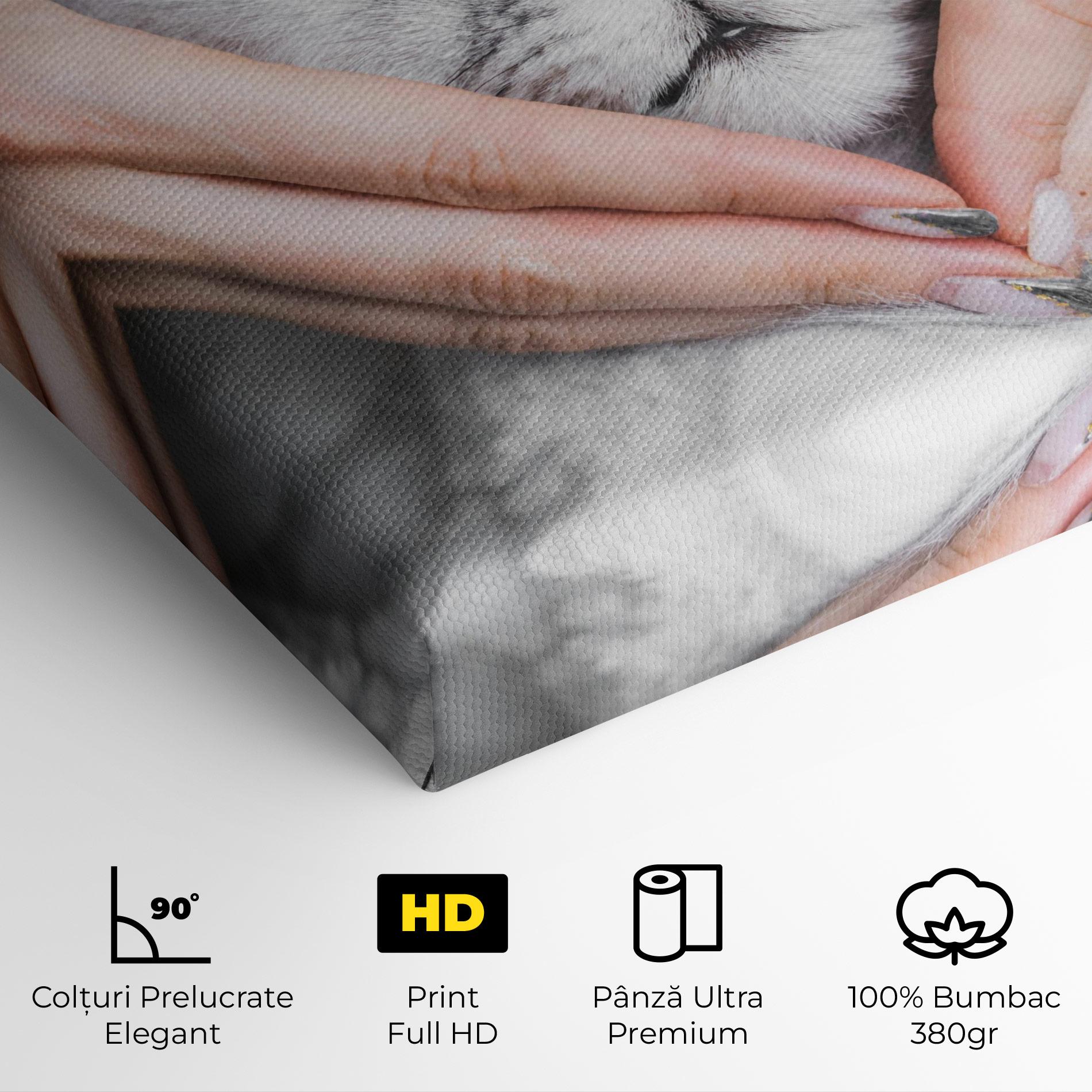 Tablou Canvas Lovely Cat mockup 4