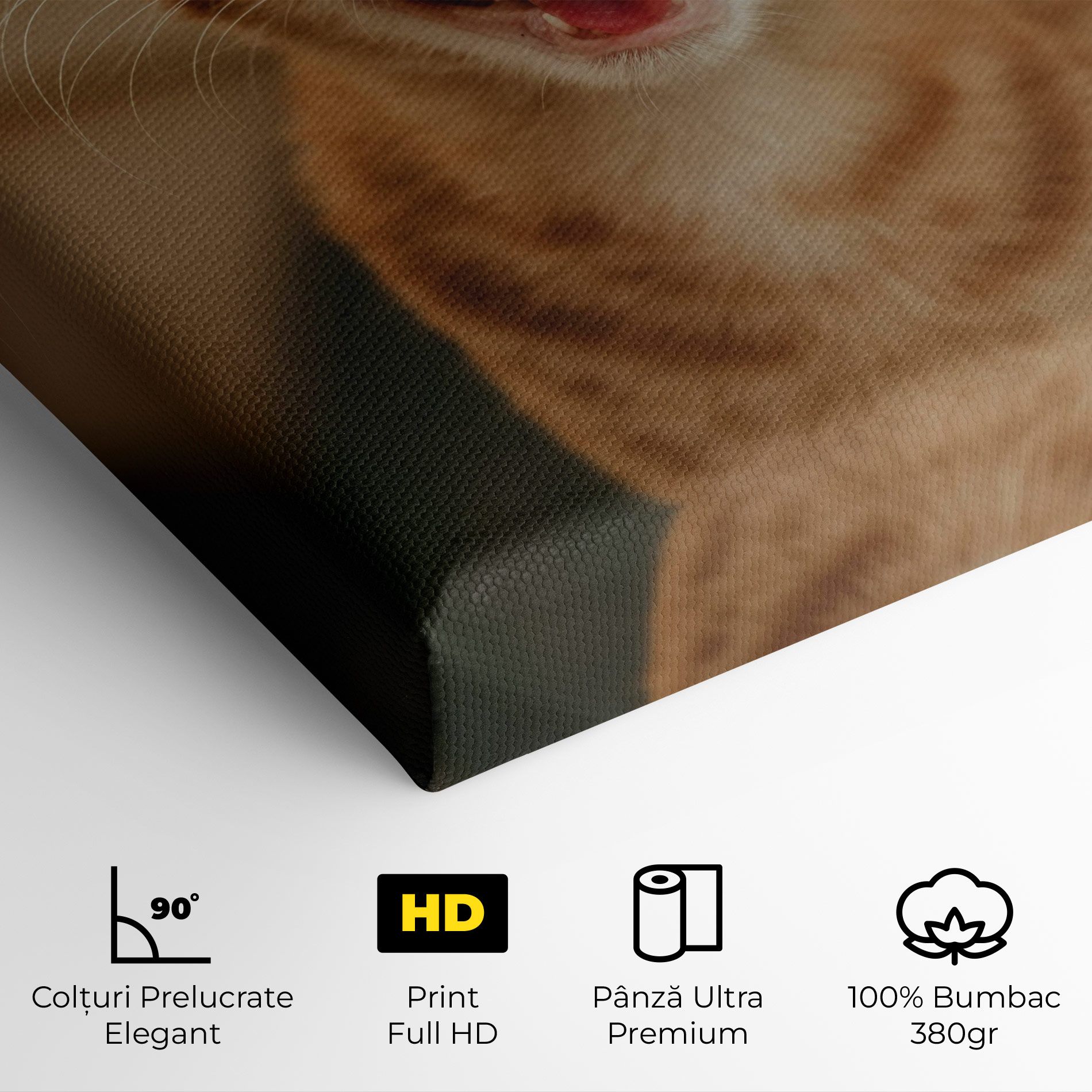 Orange Cat Smiling mockup 4