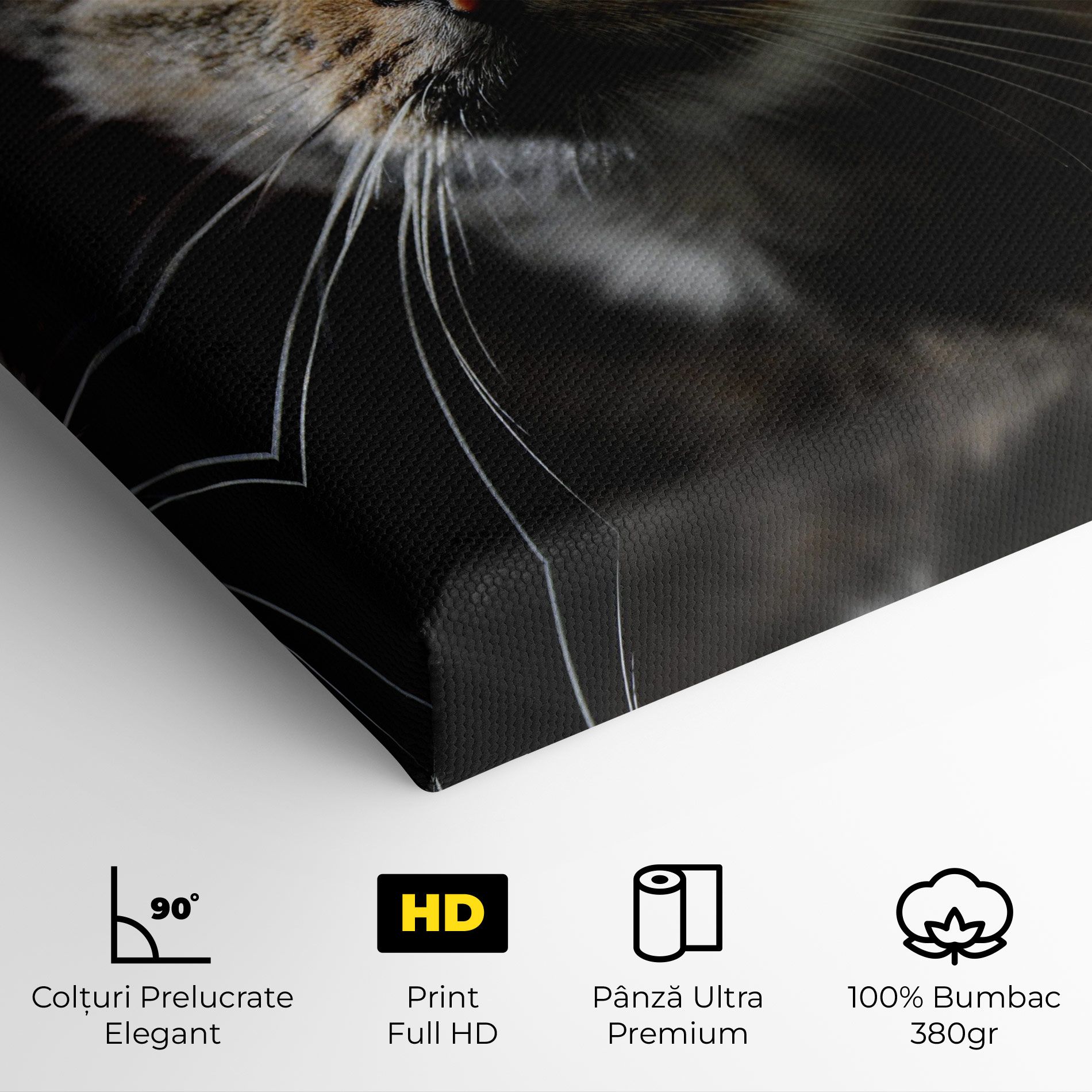 Playful Cat mockup 4