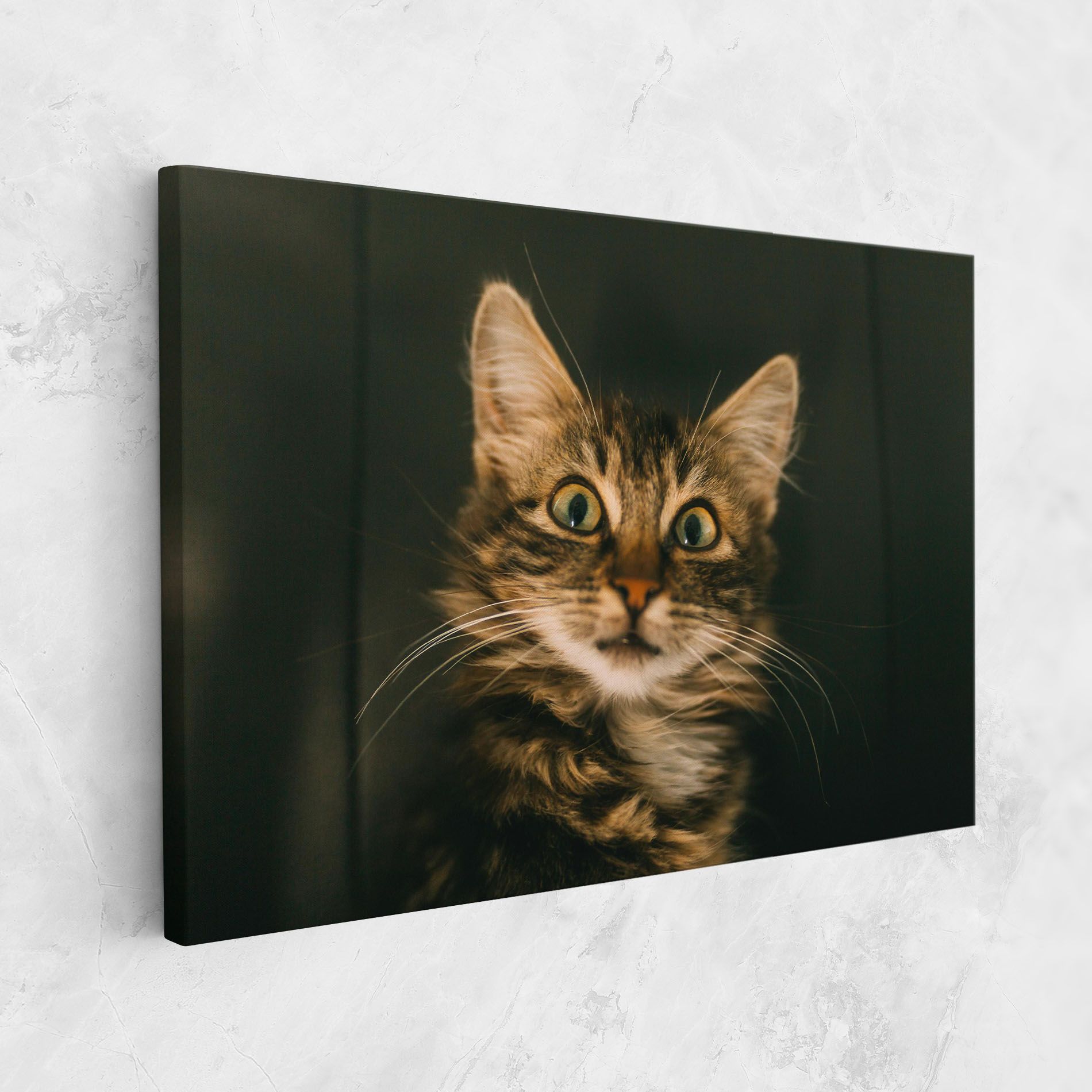 Amazed Cat mockup 1