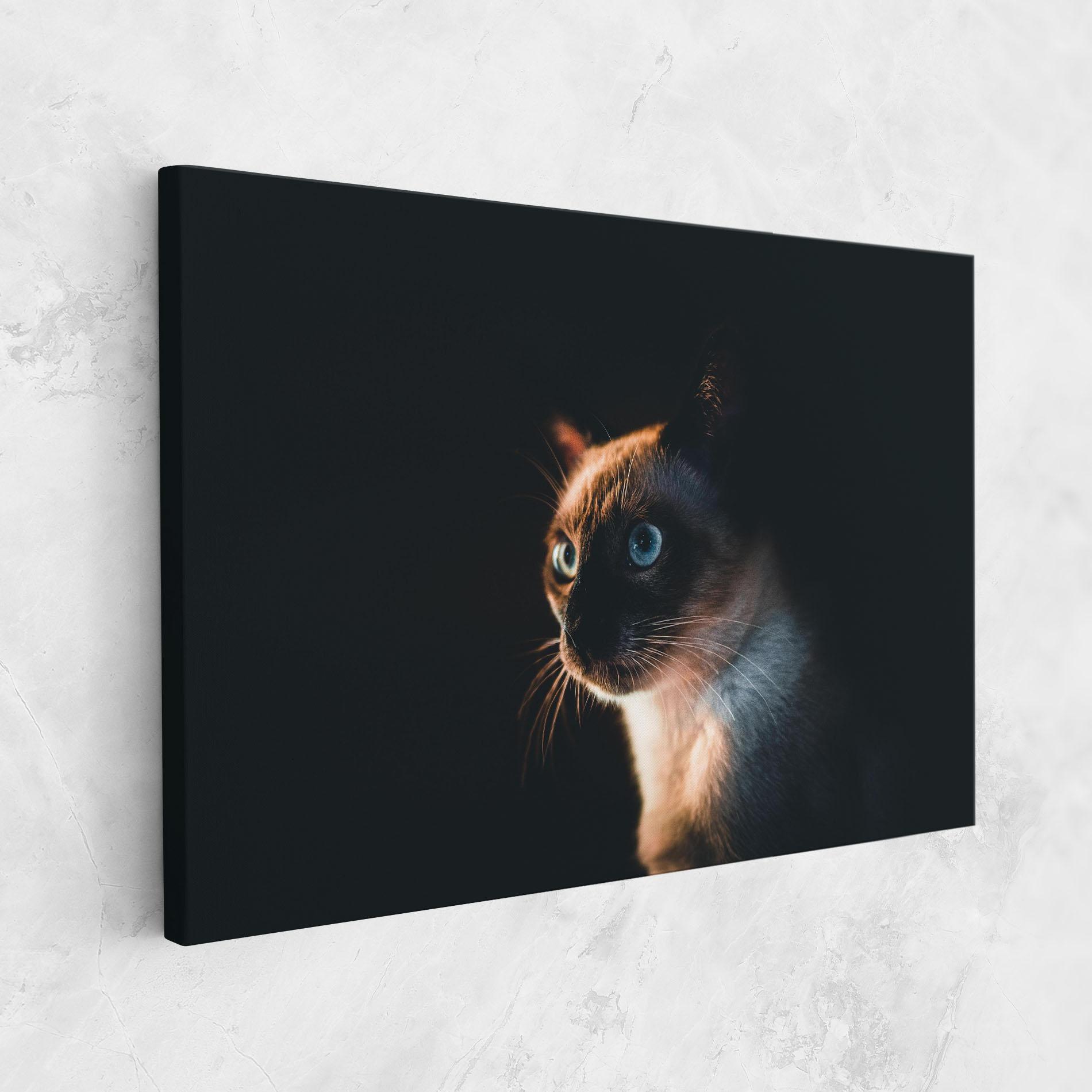 Tablou Canvas Blue Eyes Cat In Dark mockup 1