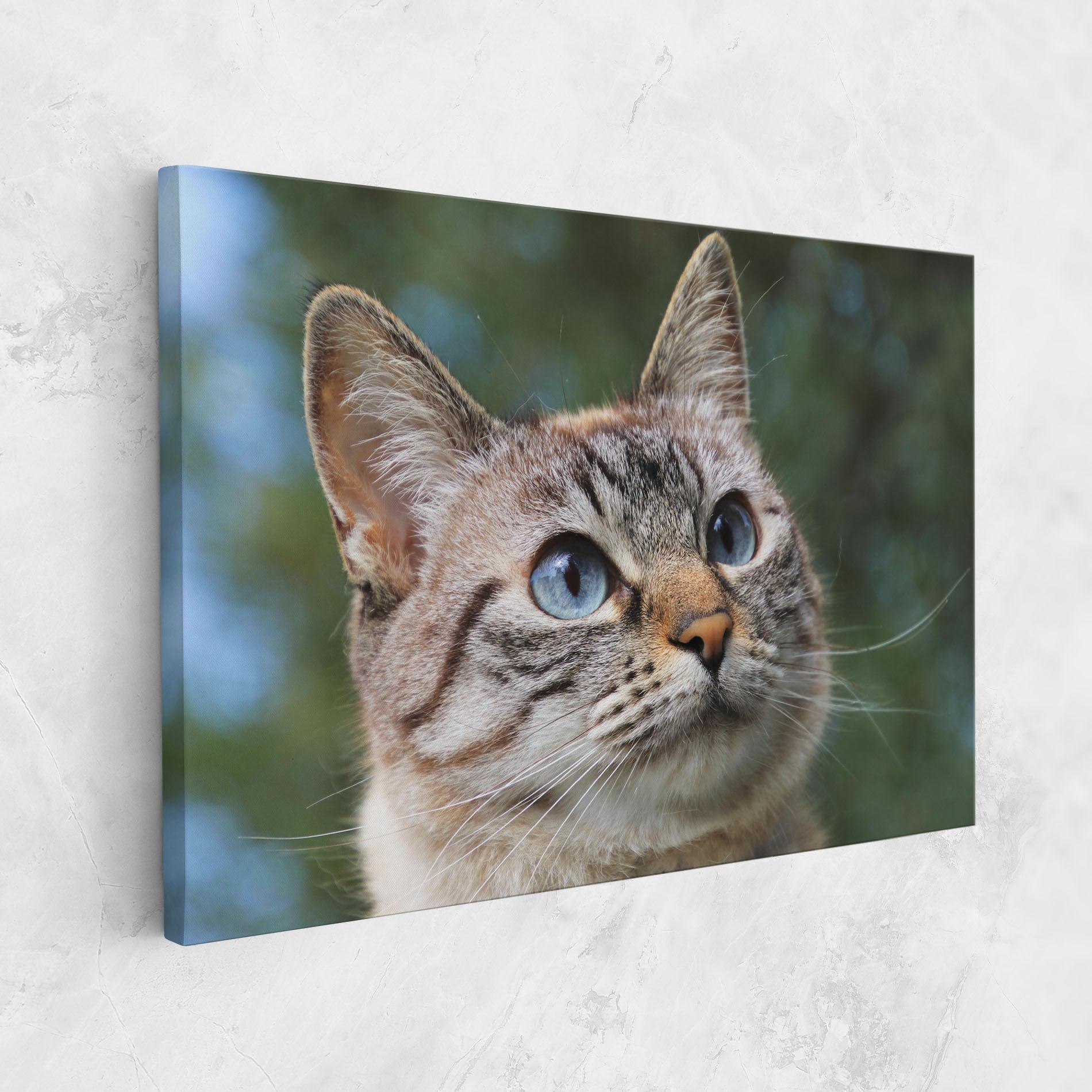 Tablou Canvas Blue Eyes Cutie mockup 1