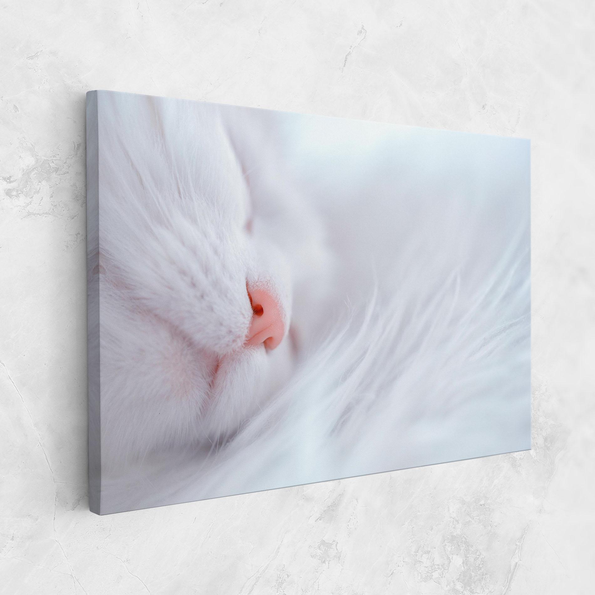 Tablou Canvas Dreamy White Cat mockup 1