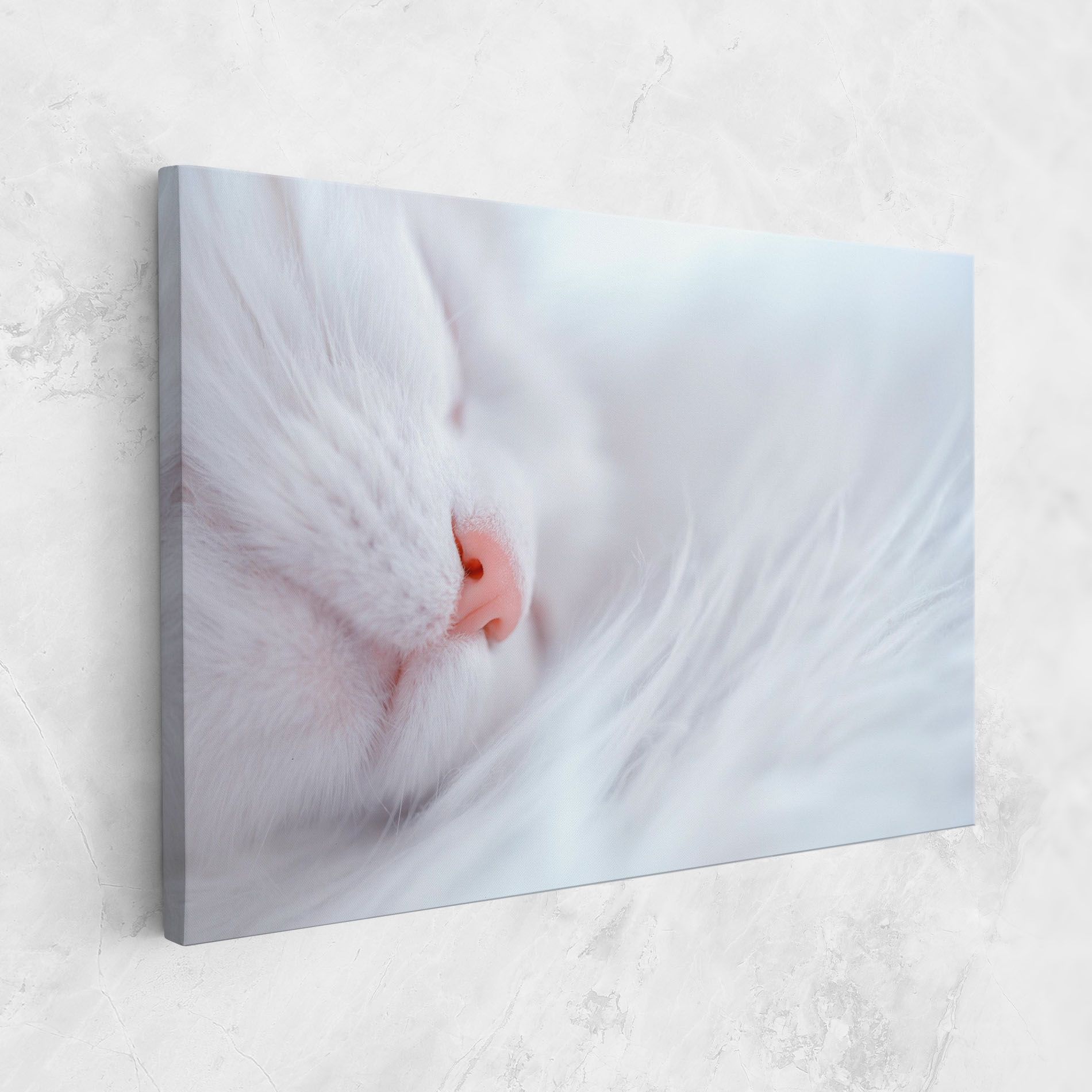Dreamy White Cat mockup 1