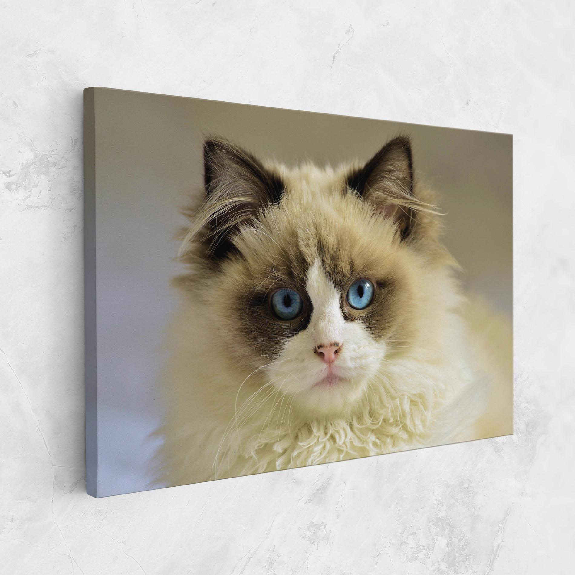 Tablou Canvas Interesting Blue Eyes Cat mockup 1