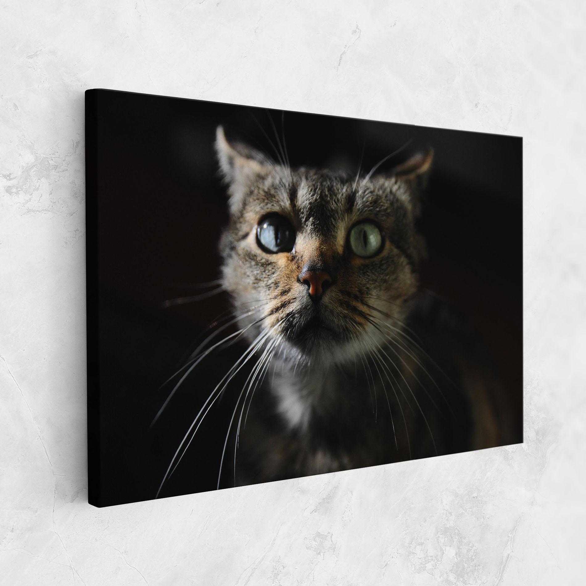 Tablou Canvas Playful Cat mockup 1