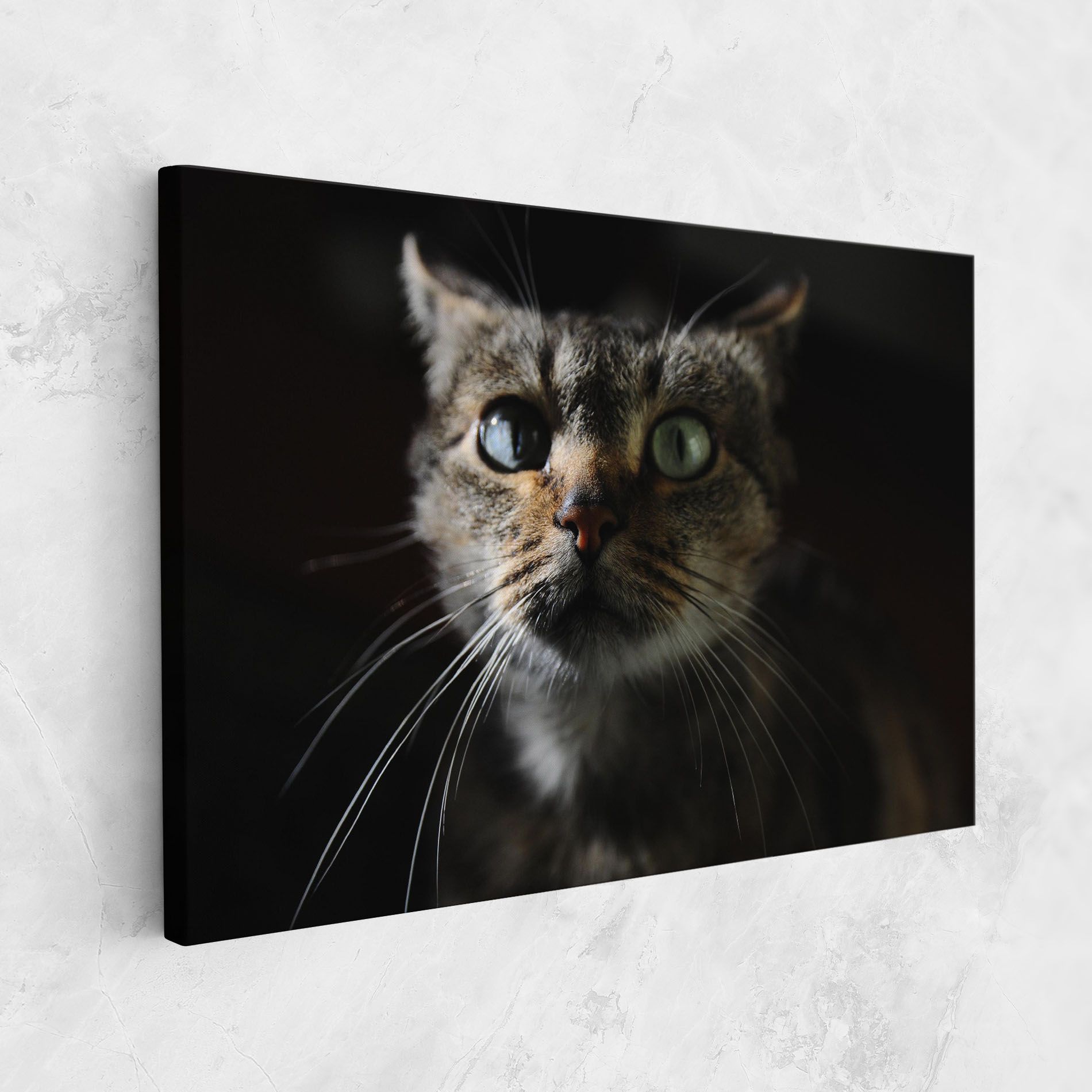 Playful Cat mockup 1