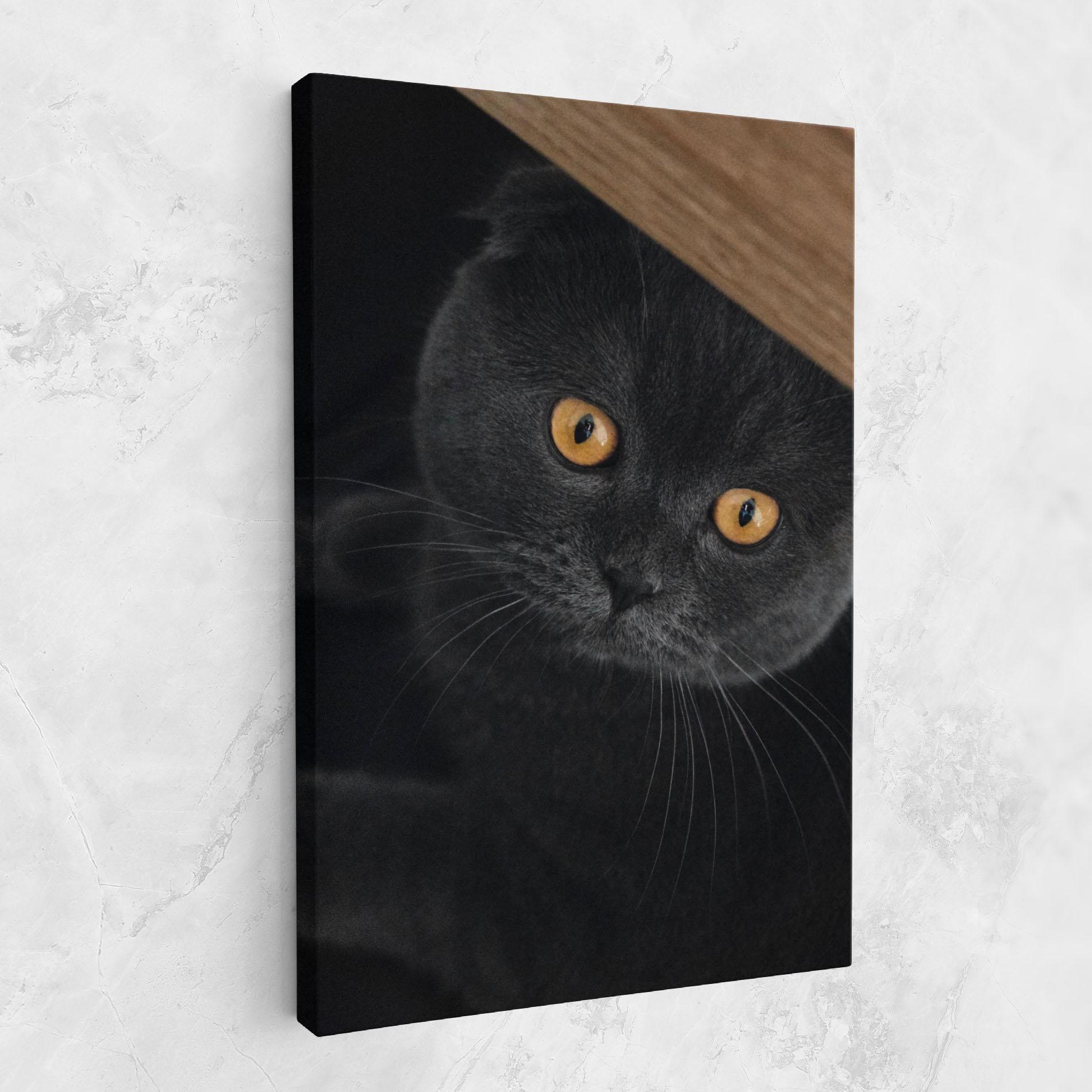 Tablou Canvas Grey Cat With Orange Eyes mockup 1