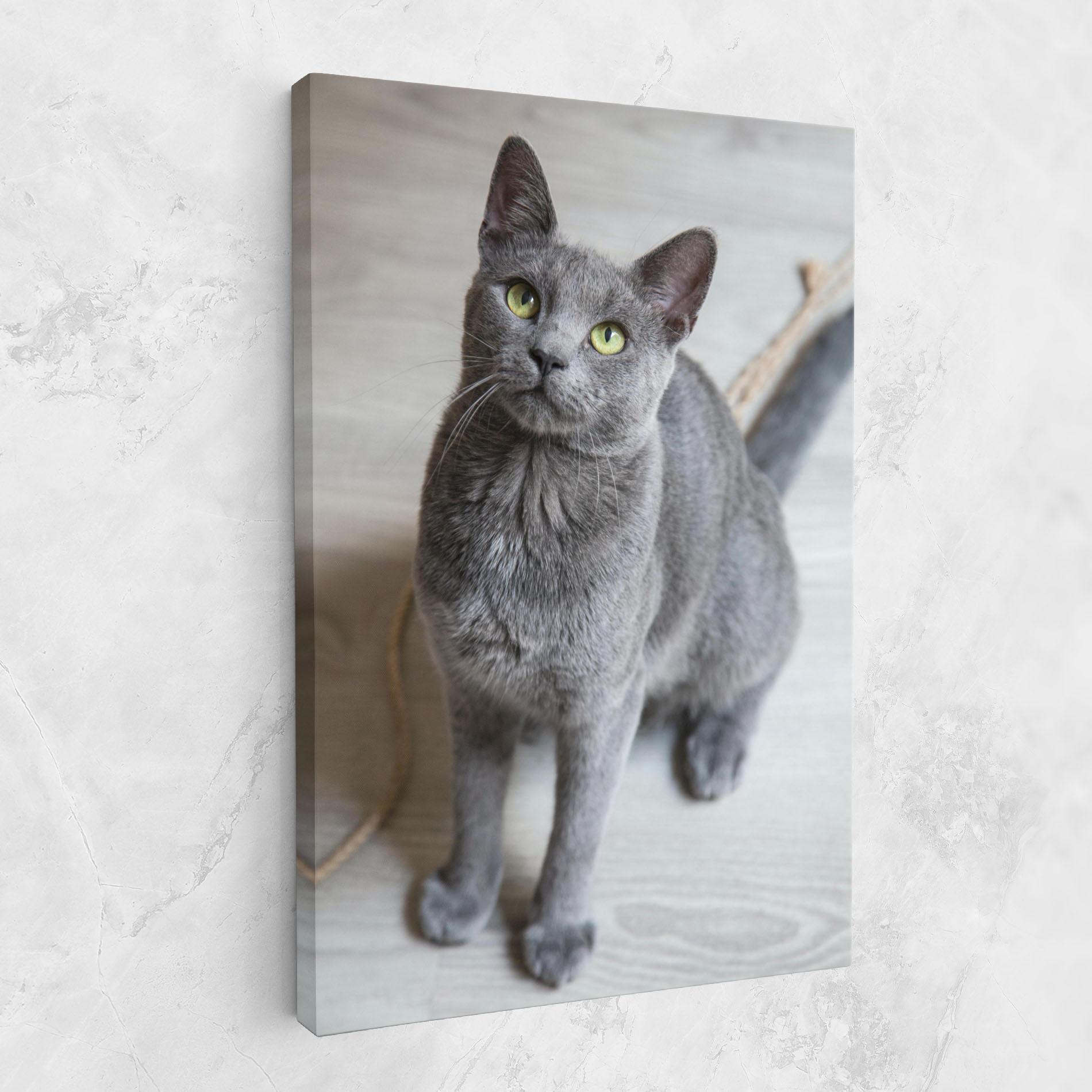Tablou Canvas Grey Green Cat Eyes mockup 1