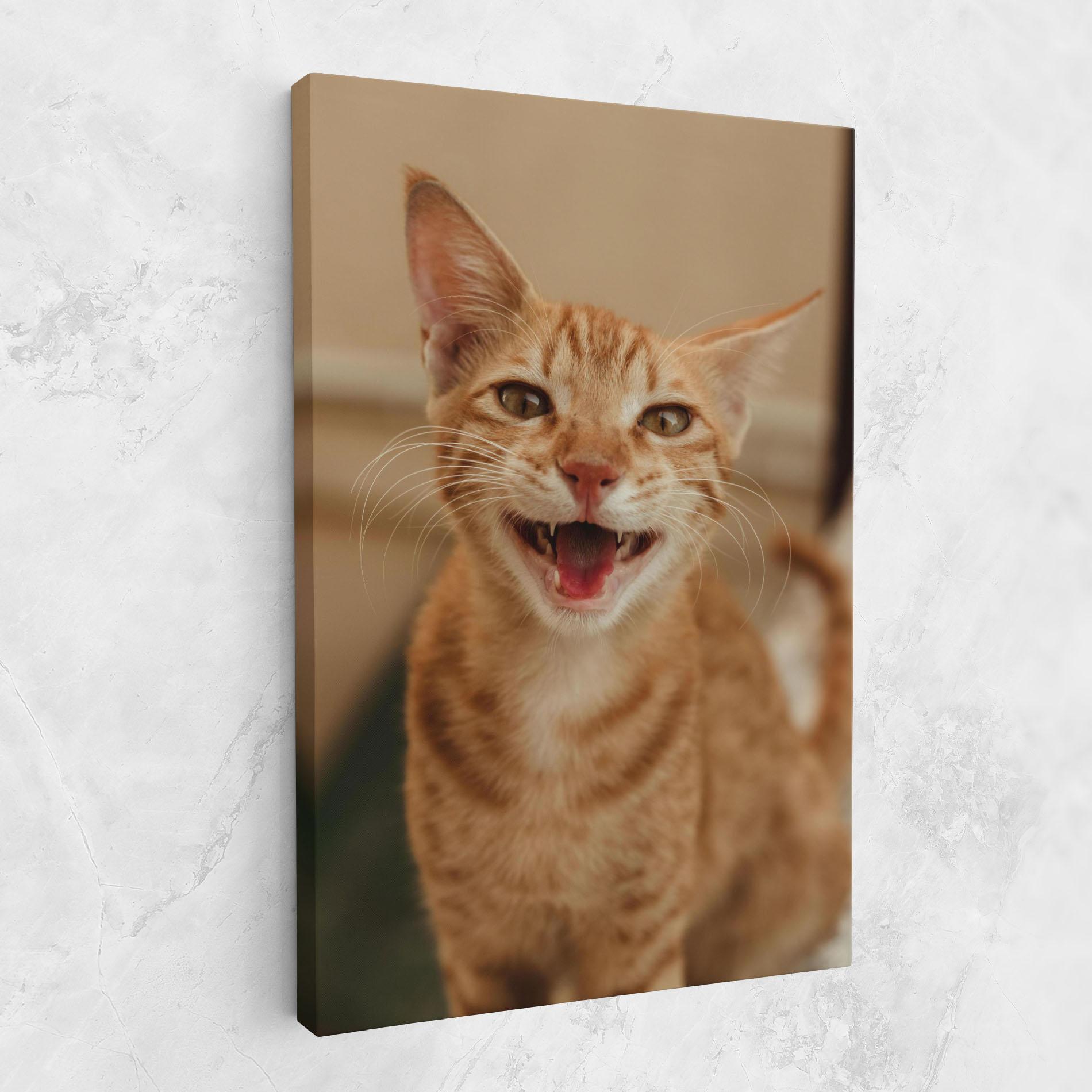 Tablou Canvas Orange Cat Smiling mockup 1