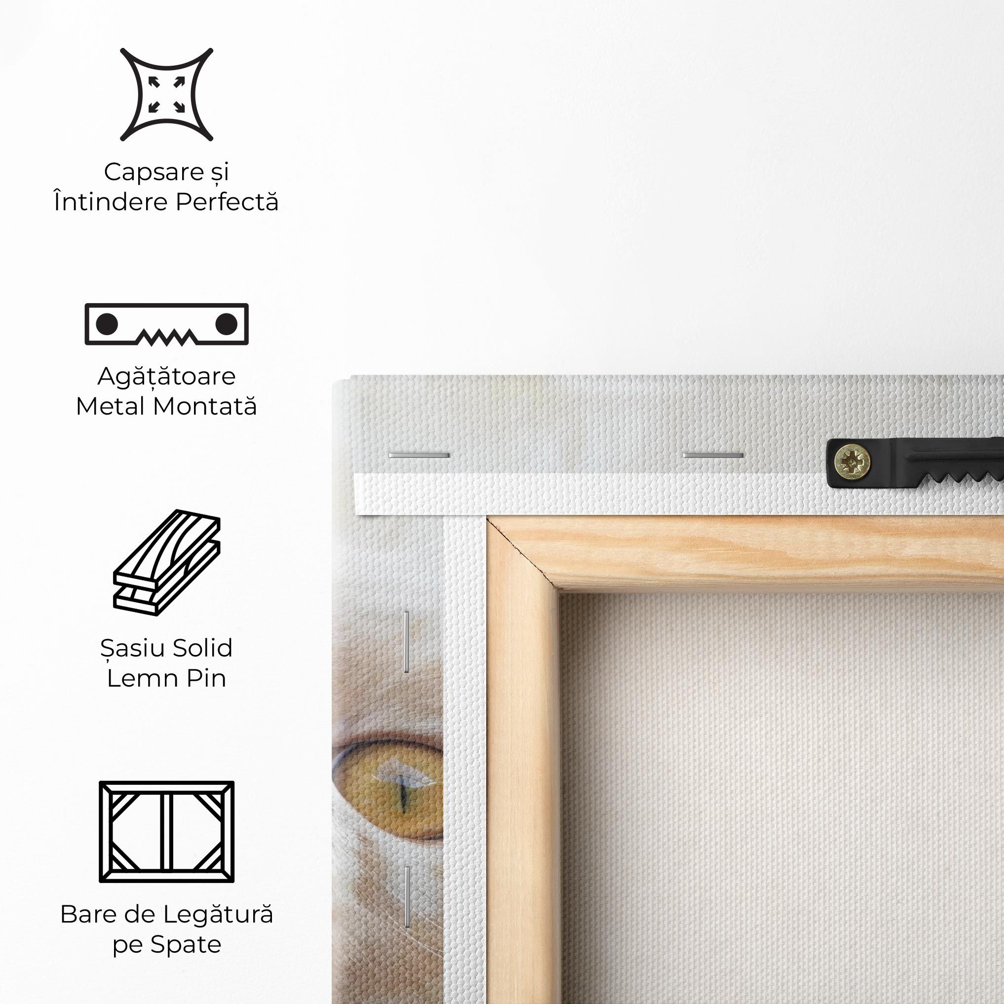 Close Up Yellow Eyes Cat mockup 5