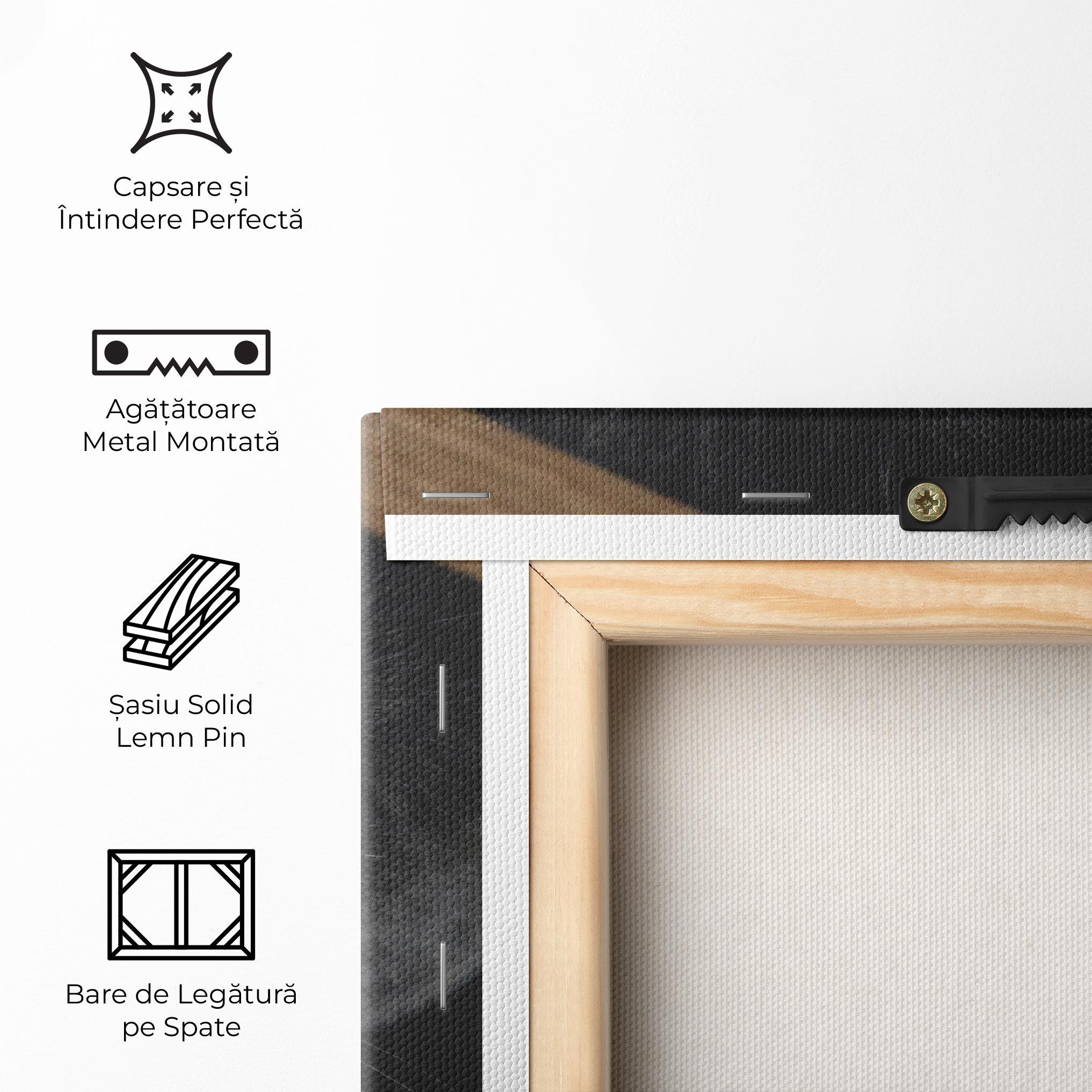 Tablou Canvas Grey Cat With Orange Eyes mockup 5