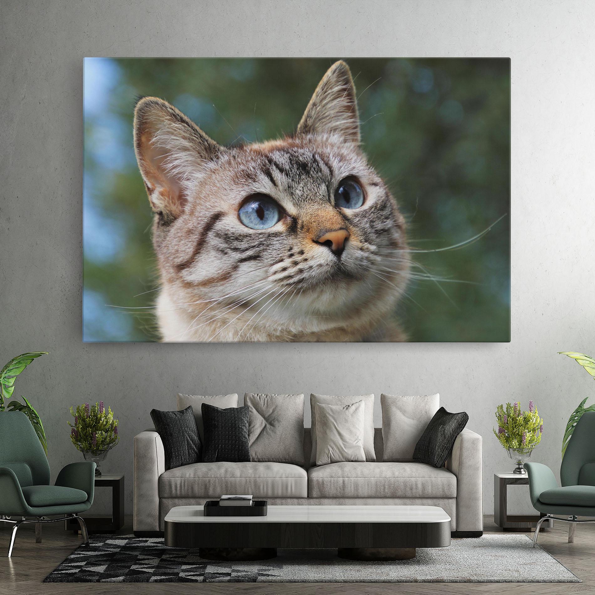 Tablou Canvas Blue Eyes Cutie mockup 7