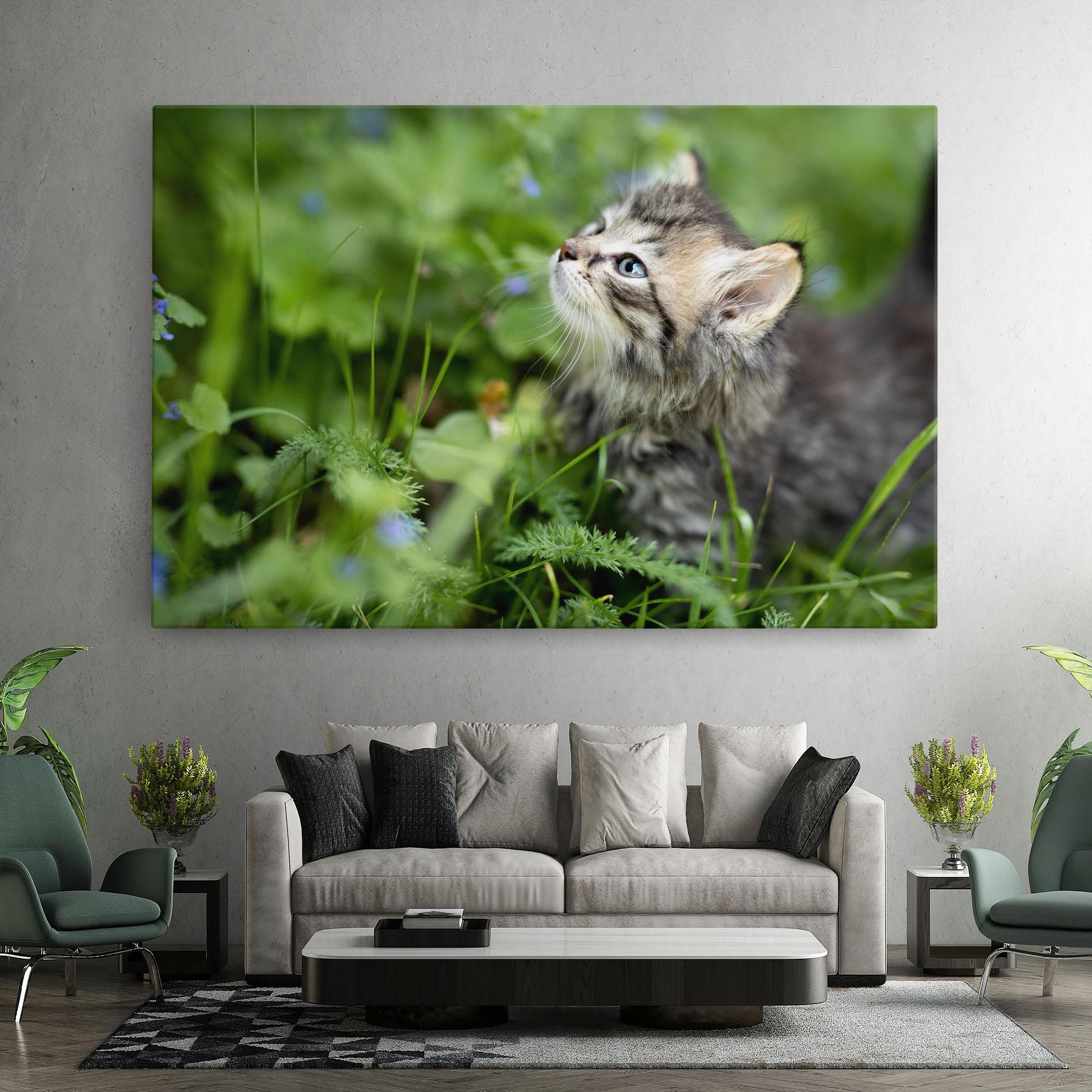 Tablou Canvas Brown Baby Cat mockup 7