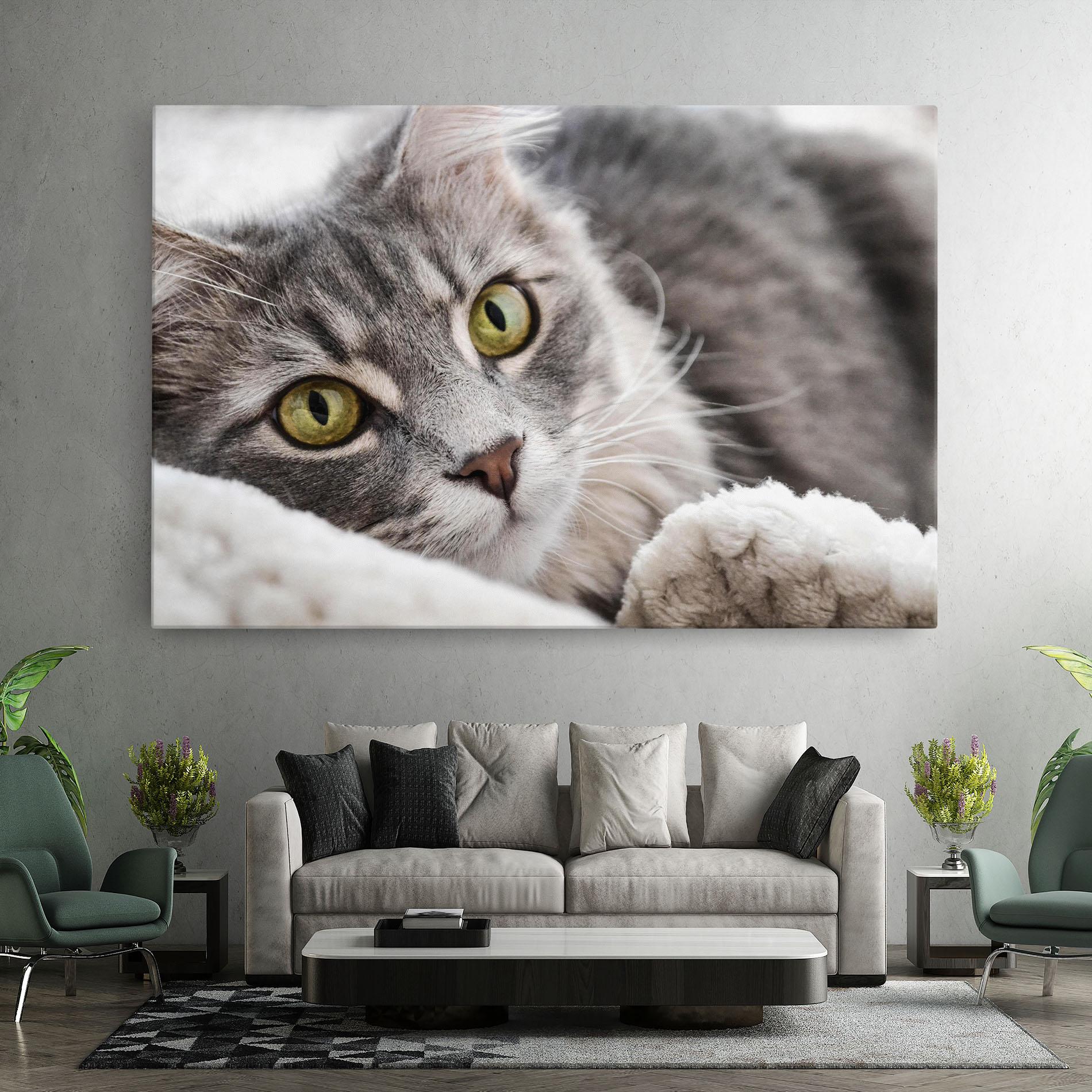 Tablou Canvas Grey Fluffy Cat mockup 7