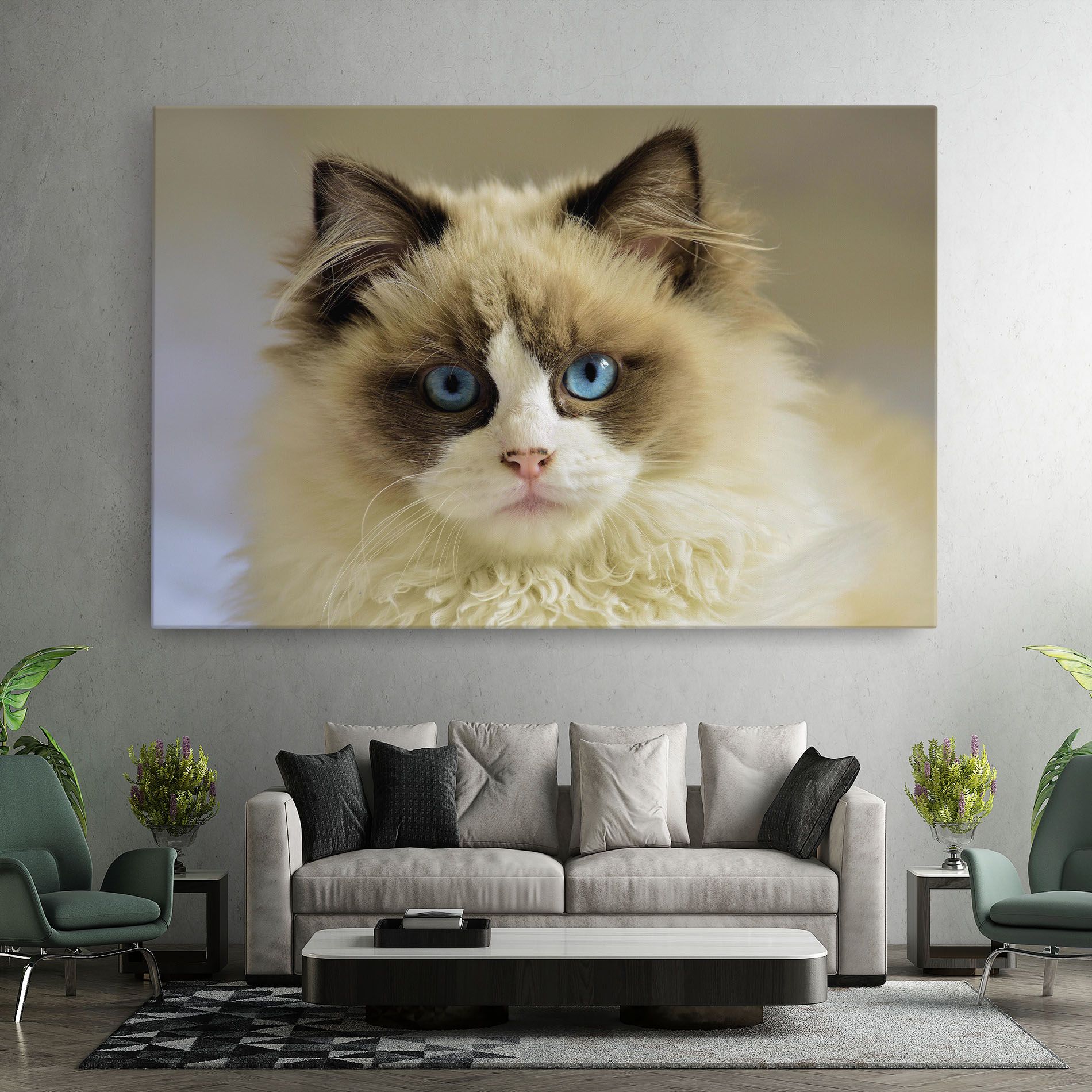 Interesting Blue Eyes Cat mockup 7