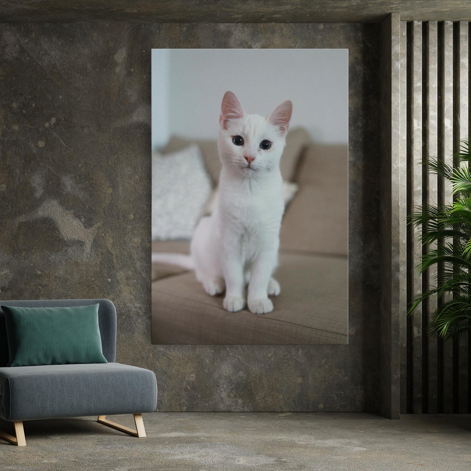 Tablou Canvas Beautiful White Cat mockup 7