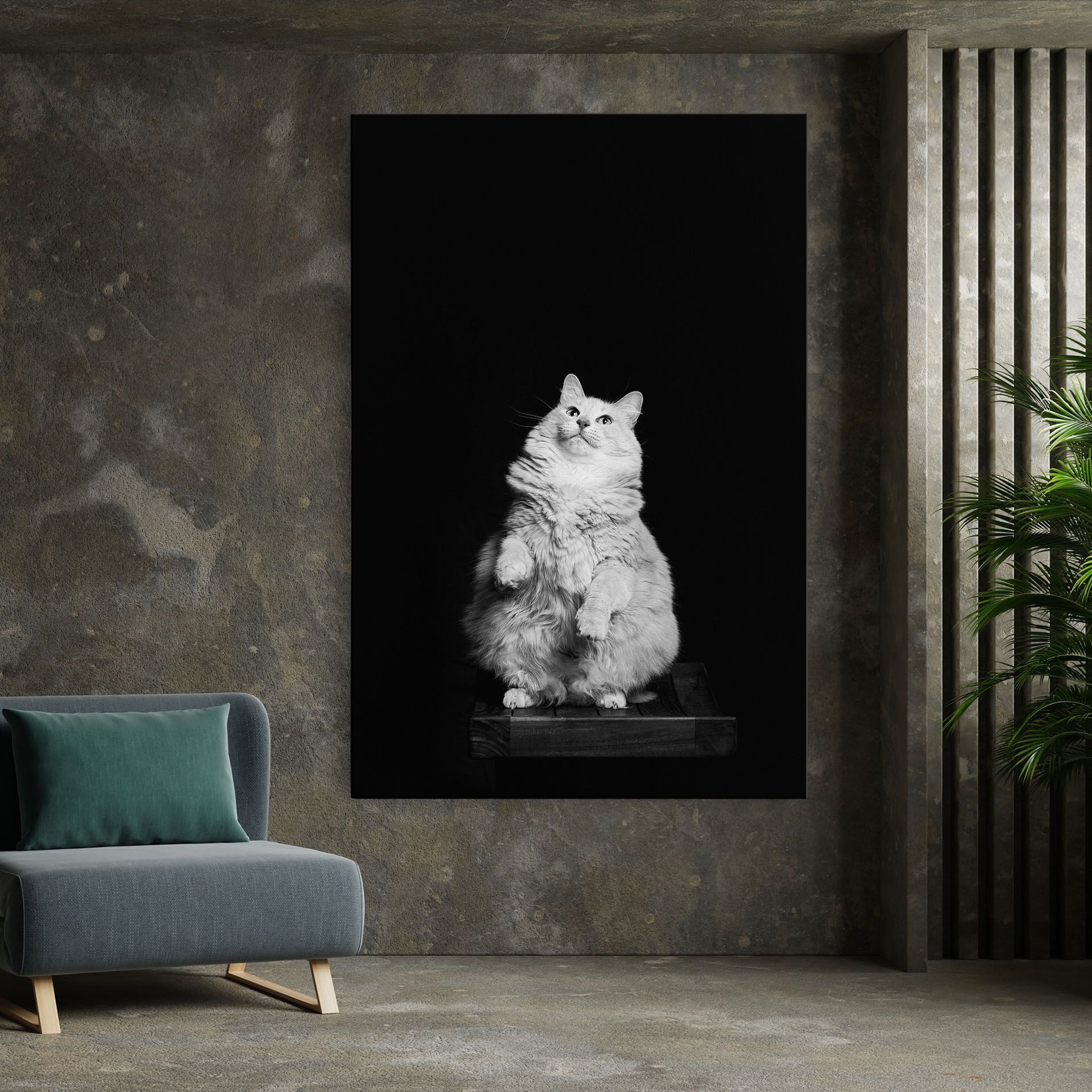 Big Fluffy Cat mockup 7