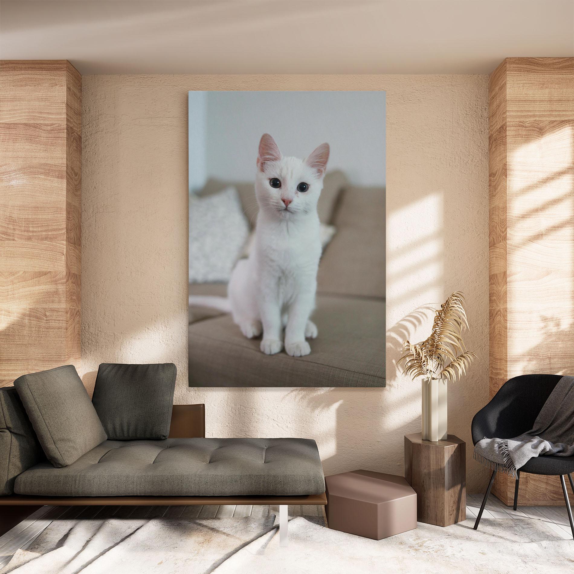 Tablou Canvas Beautiful White Cat mockup 8