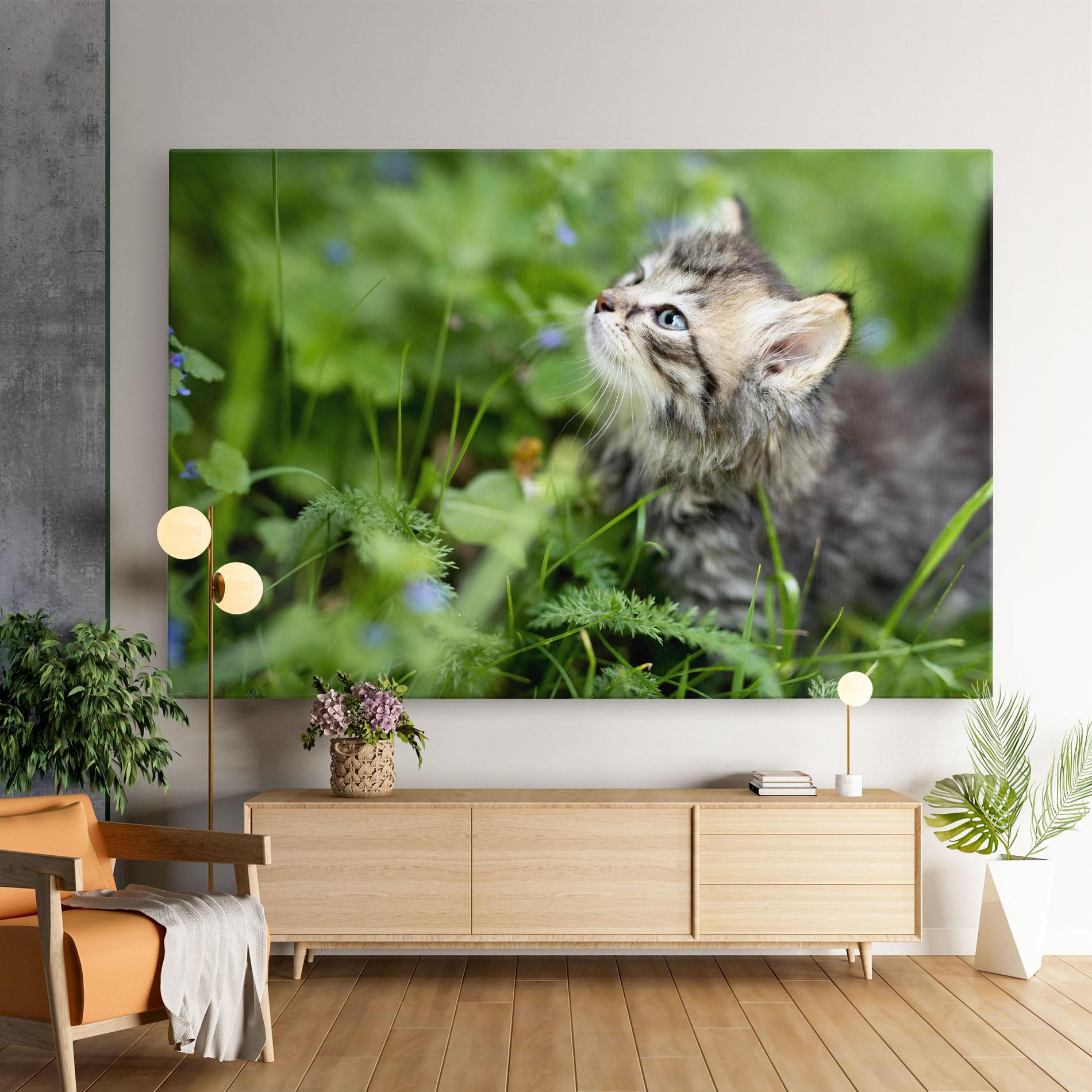 Tablou Canvas Brown Baby Cat mockup 9