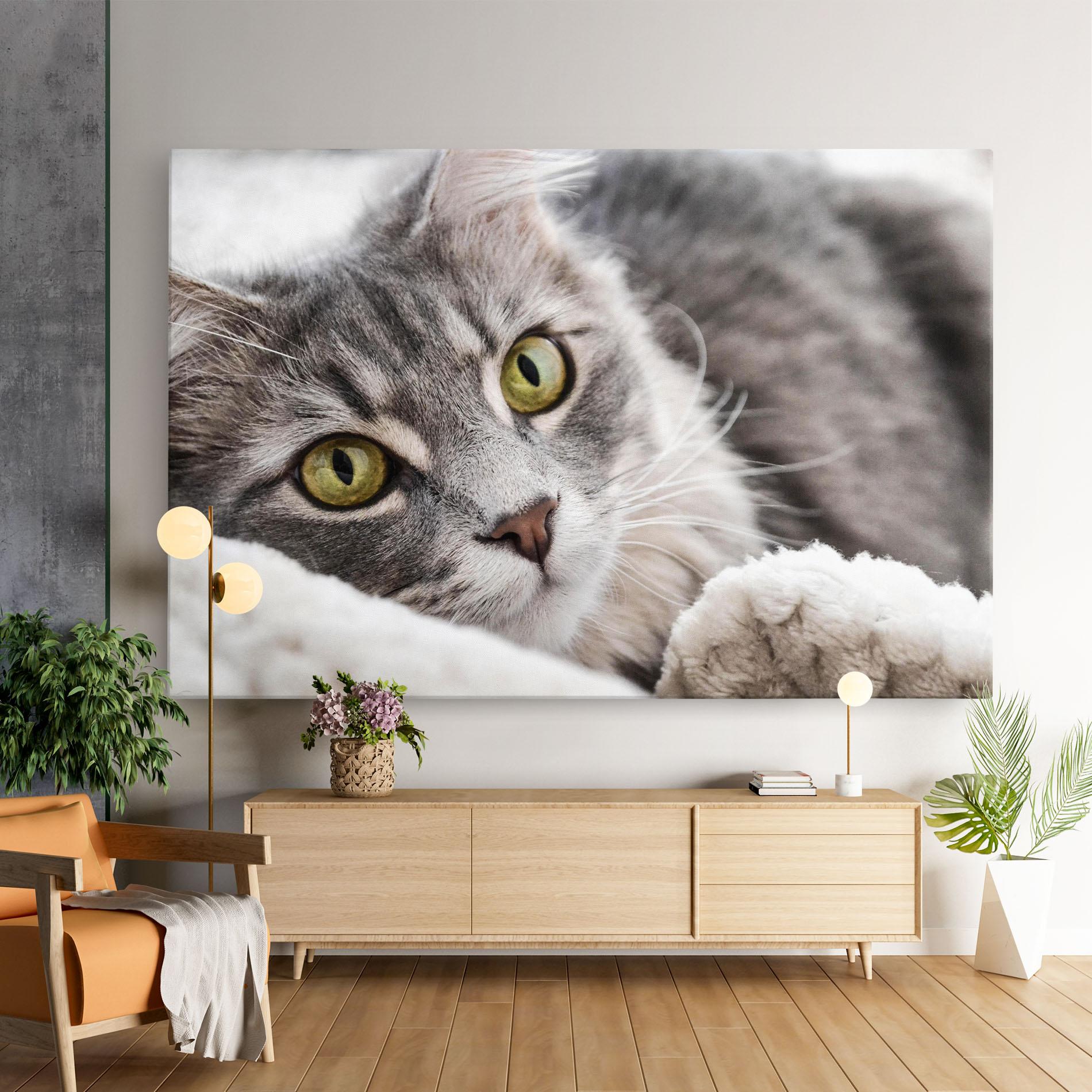 Tablou Canvas Grey Fluffy Cat mockup 9
