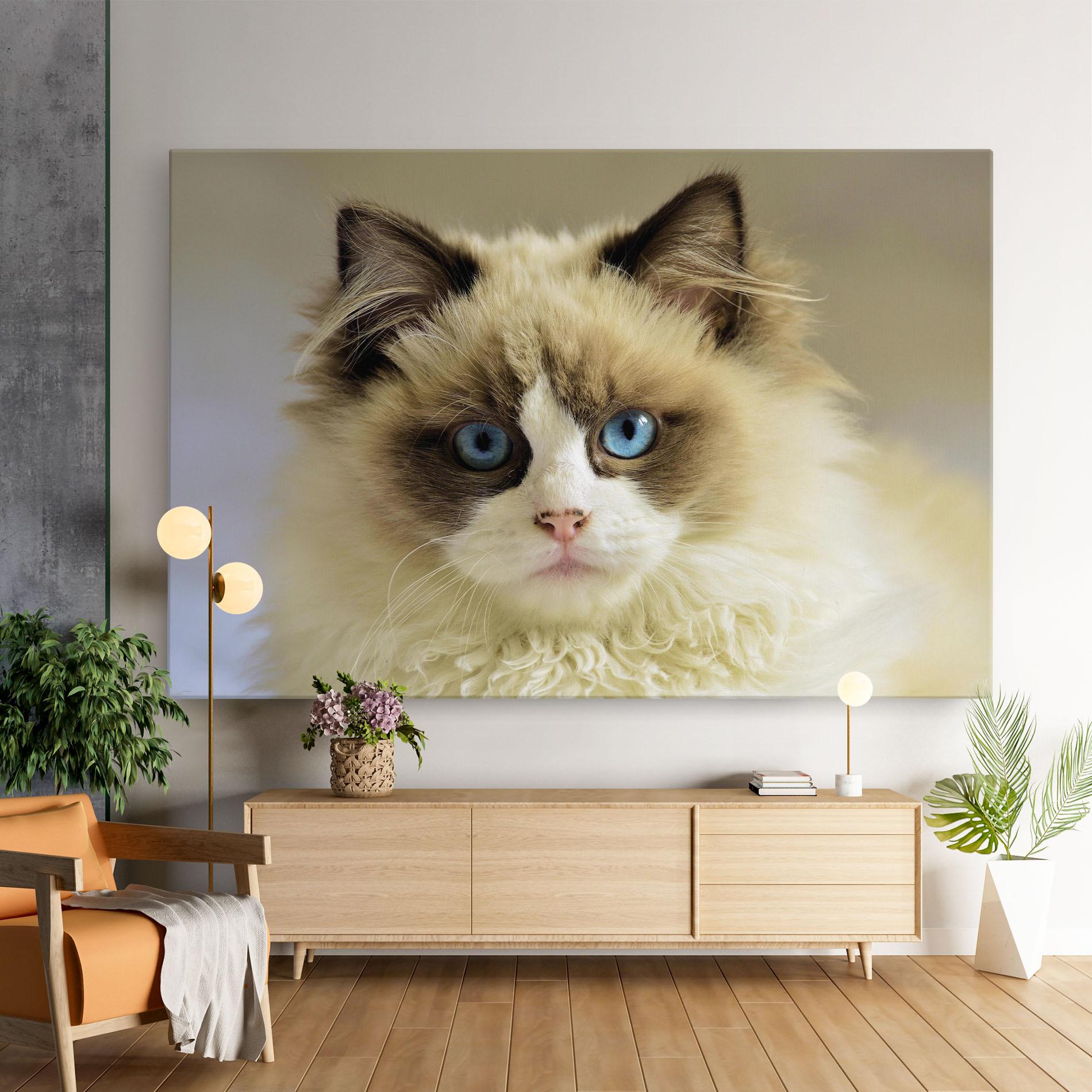 Tablou Canvas Interesting Blue Eyes Cat mockup 9