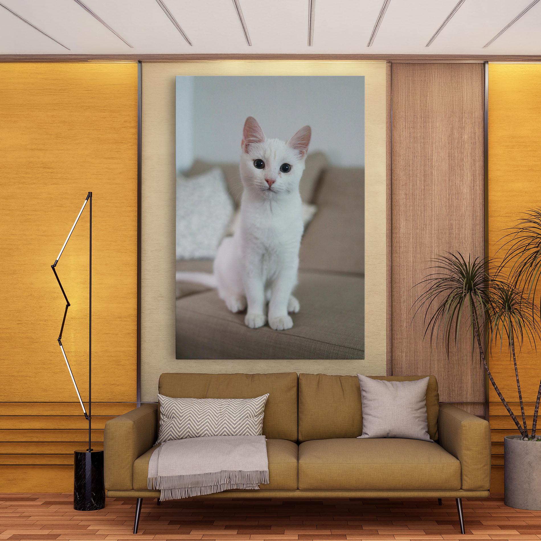 Tablou Canvas Beautiful White Cat mockup 9