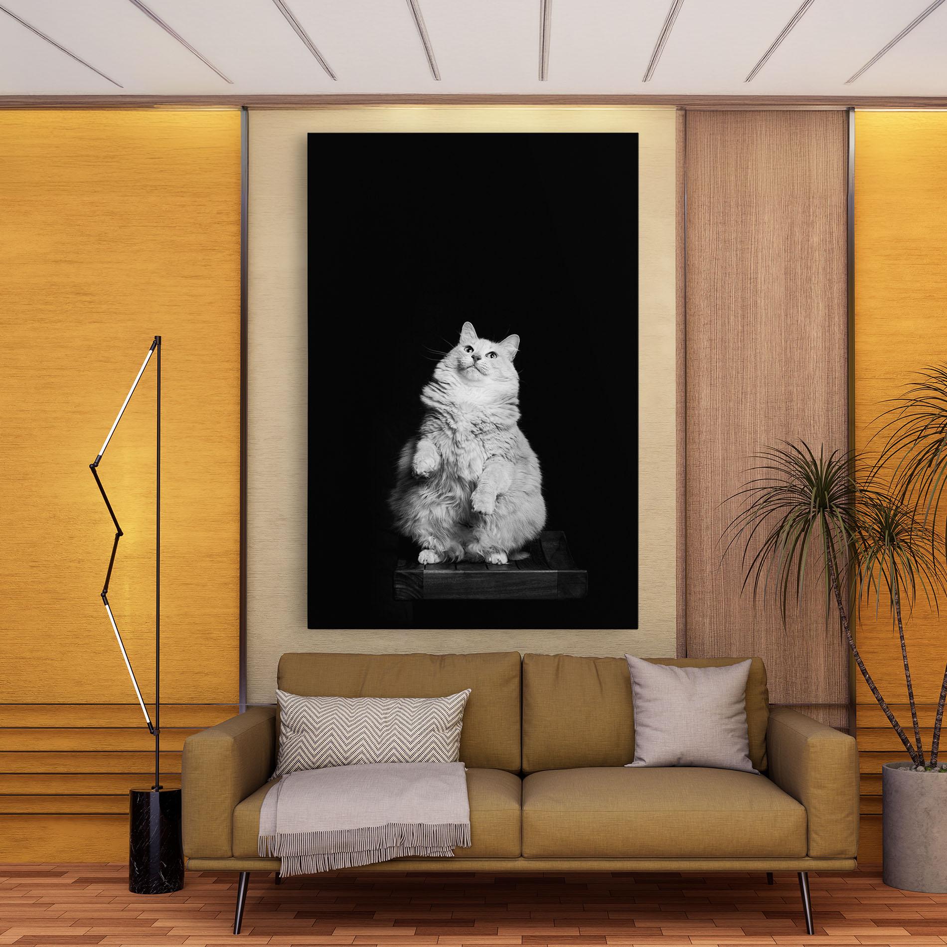 Tablou Canvas Big Fluffy Cat mockup 9
