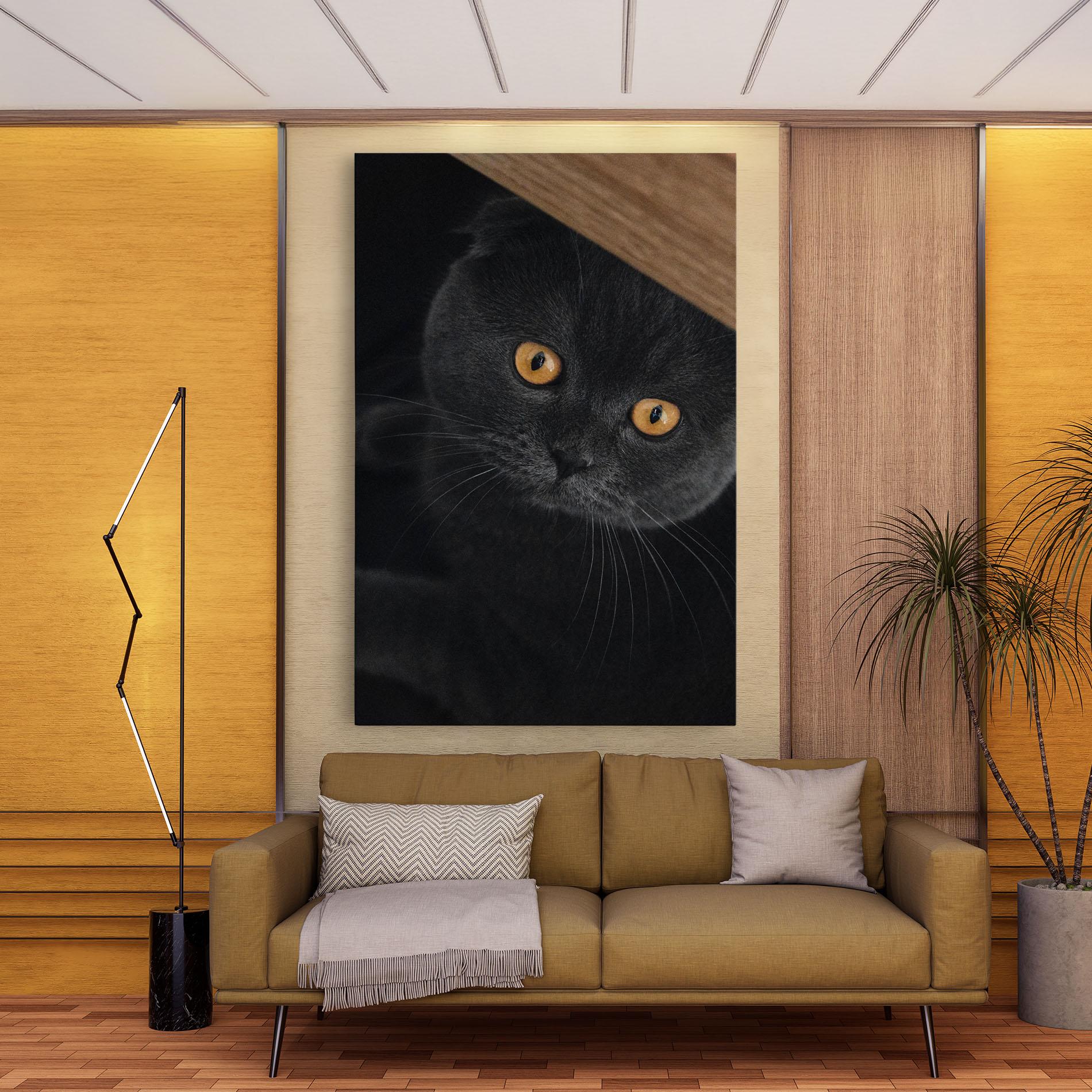 Tablou Canvas Grey Cat With Orange Eyes mockup 9