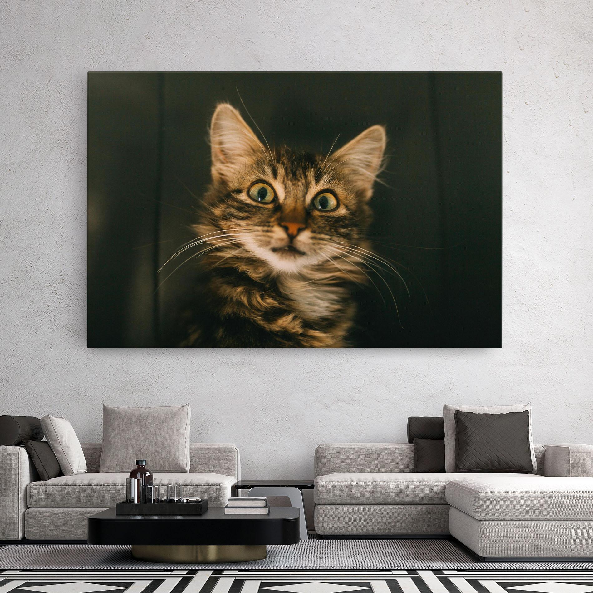 Tablou Canvas Amazed Cat mockup 2