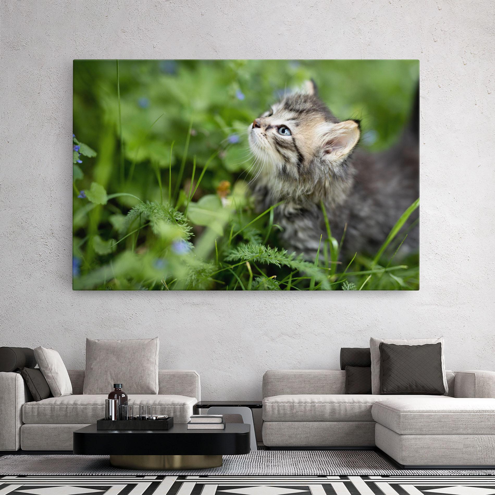 Tablou Canvas Brown Baby Cat mockup 2