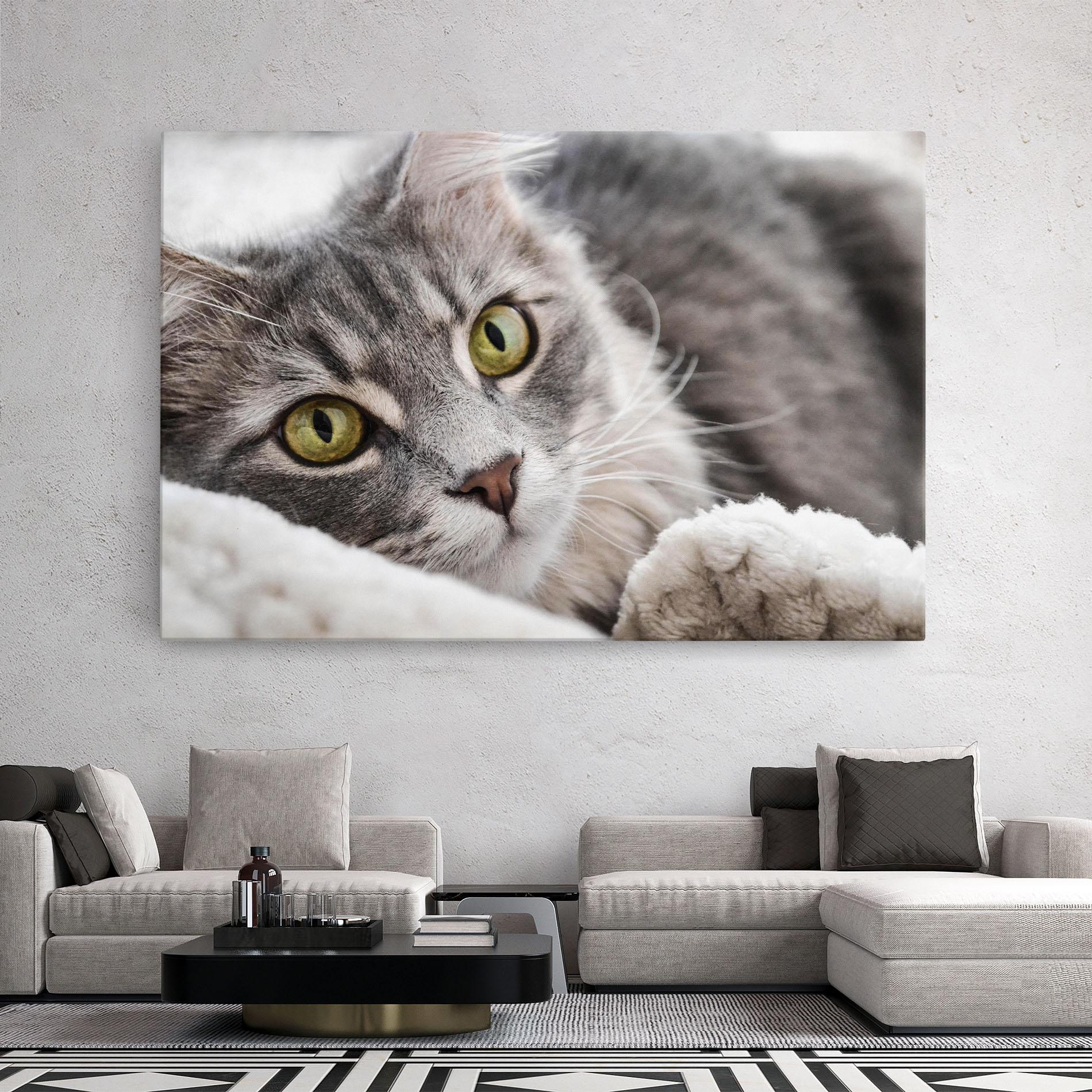 Tablou Canvas Grey Fluffy Cat mockup 2