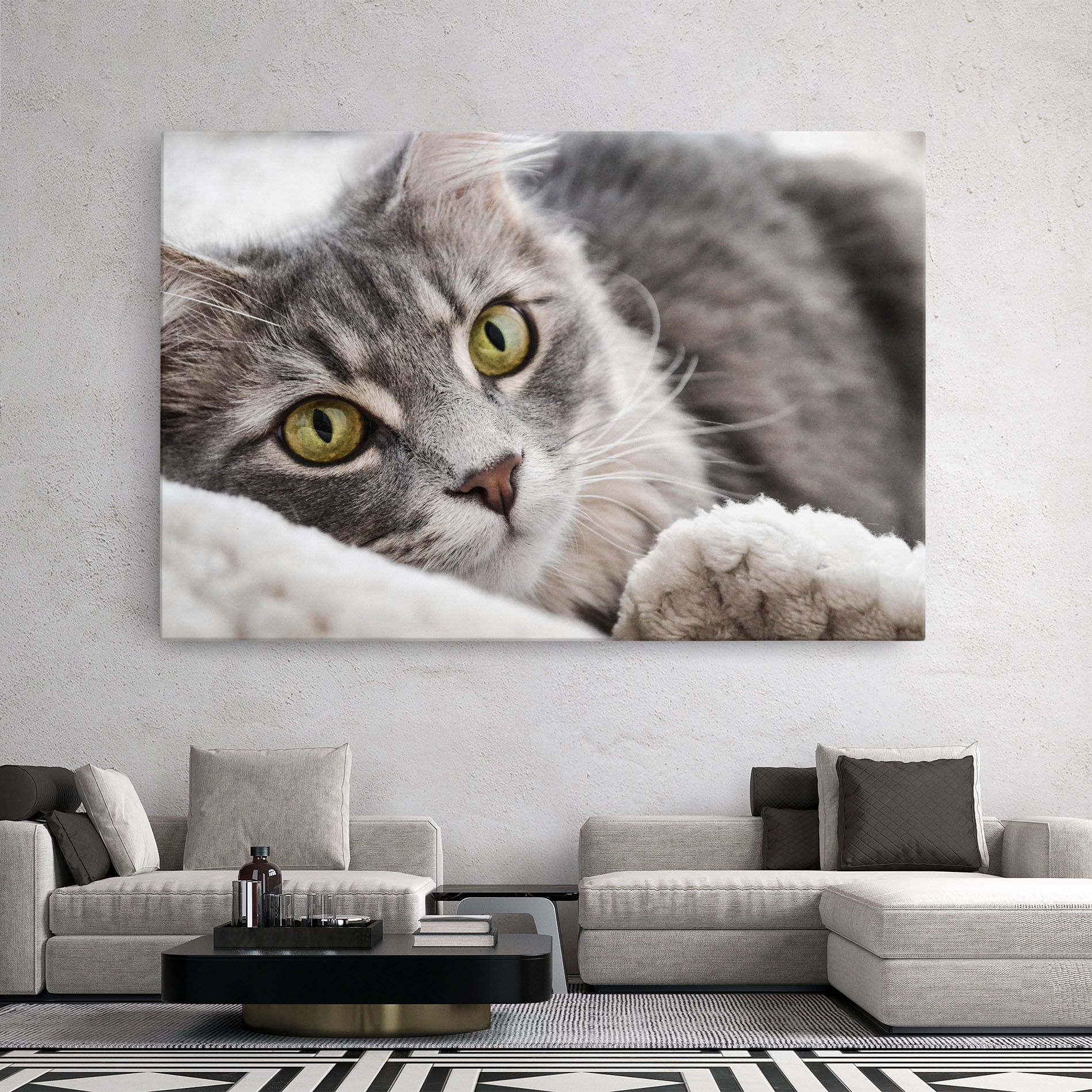 Grey Fluffy Cat mockup 2