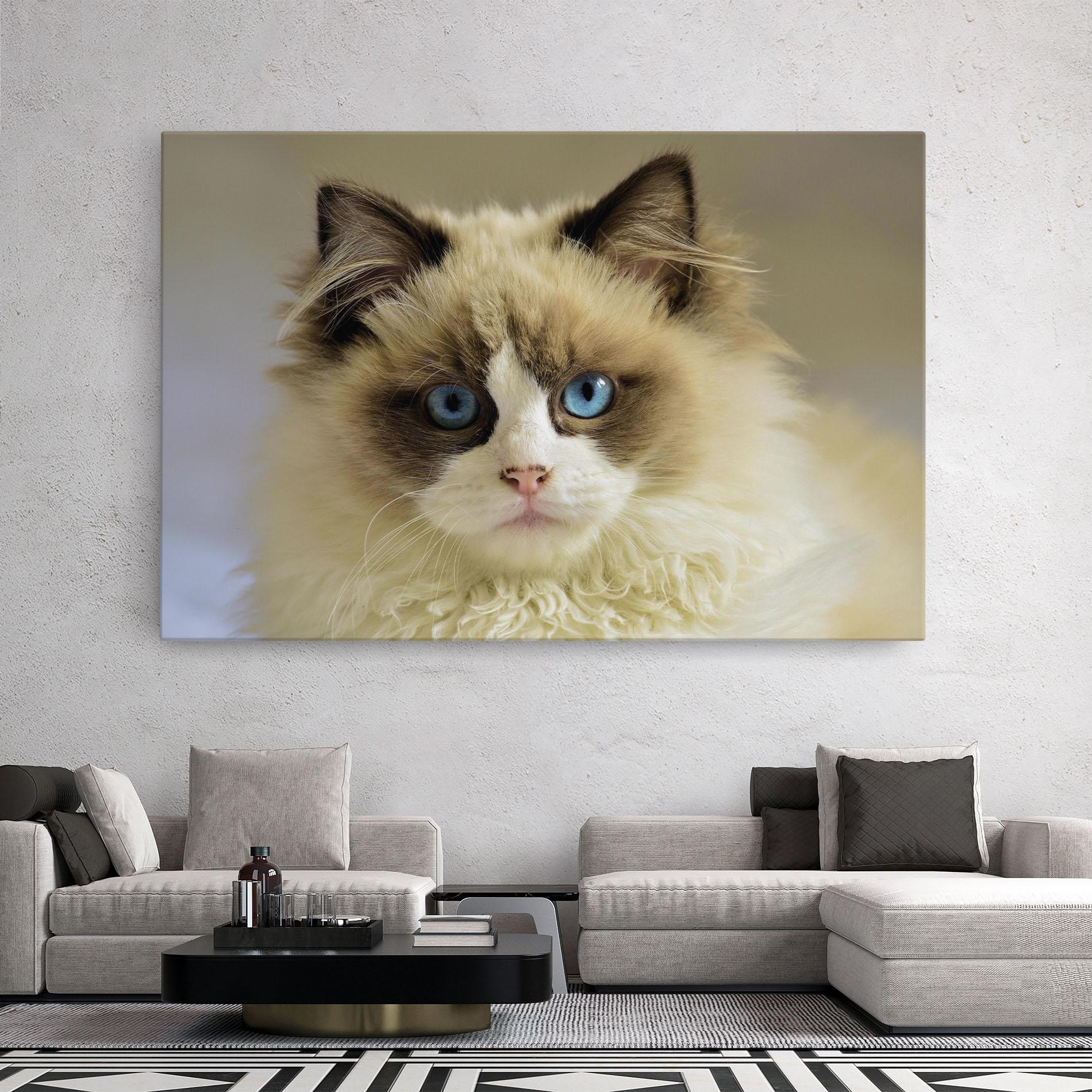 Tablou Canvas Interesting Blue Eyes Cat mockup 2