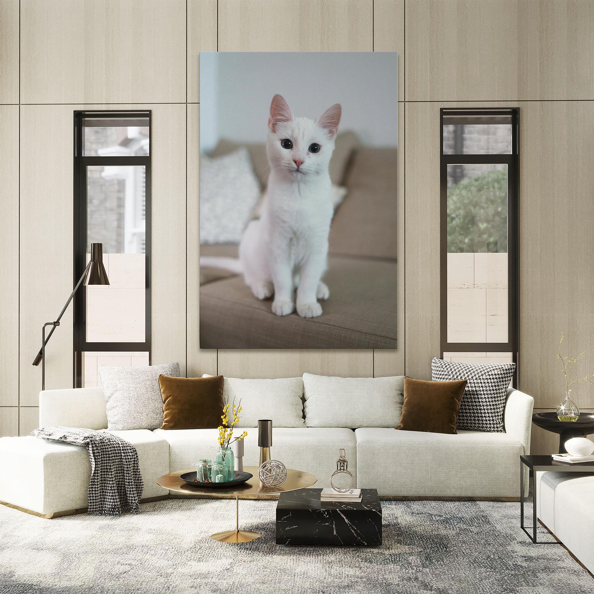 Tablou Canvas Beautiful White Cat mockup 2