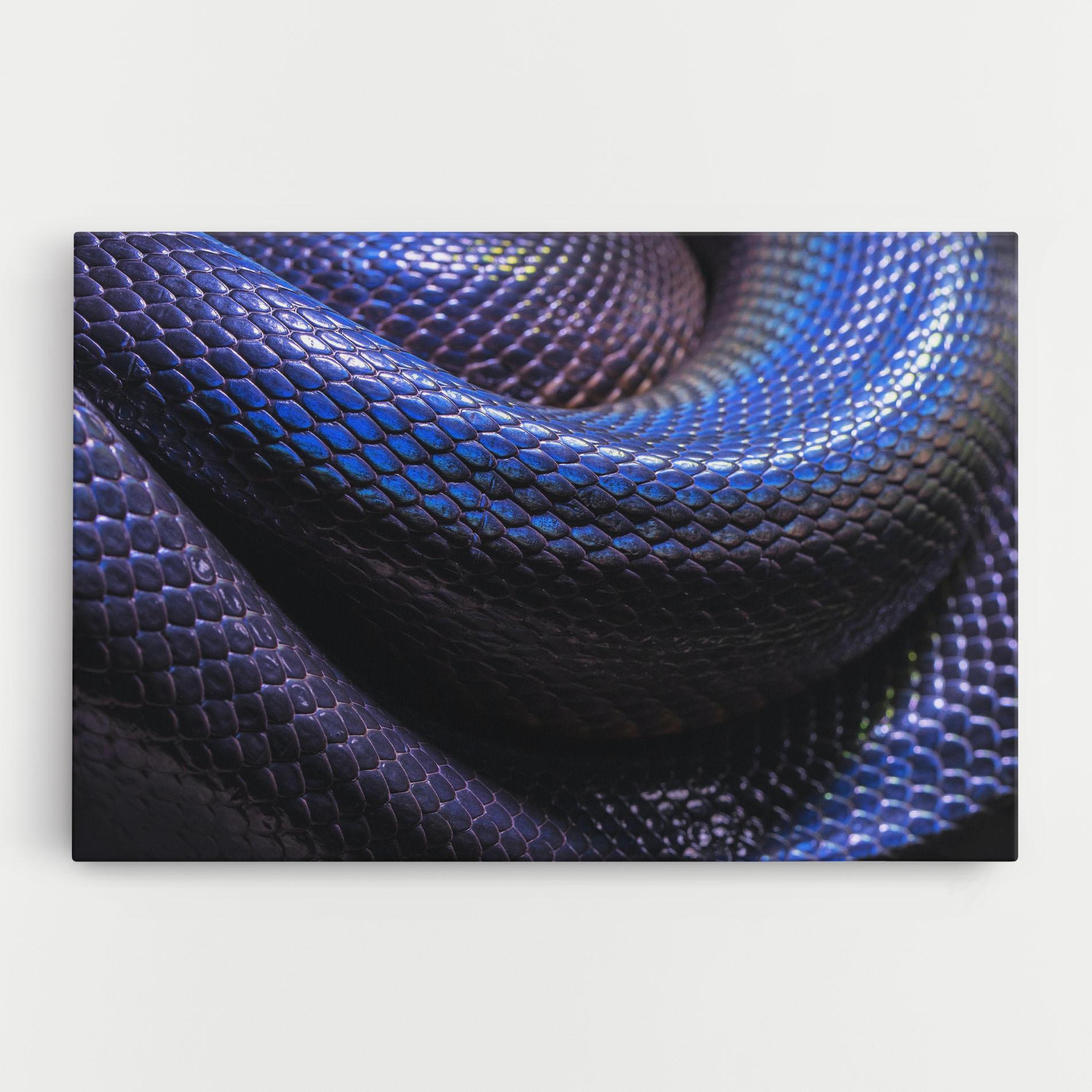 Tablou Canvas Snake Skin mockup 0