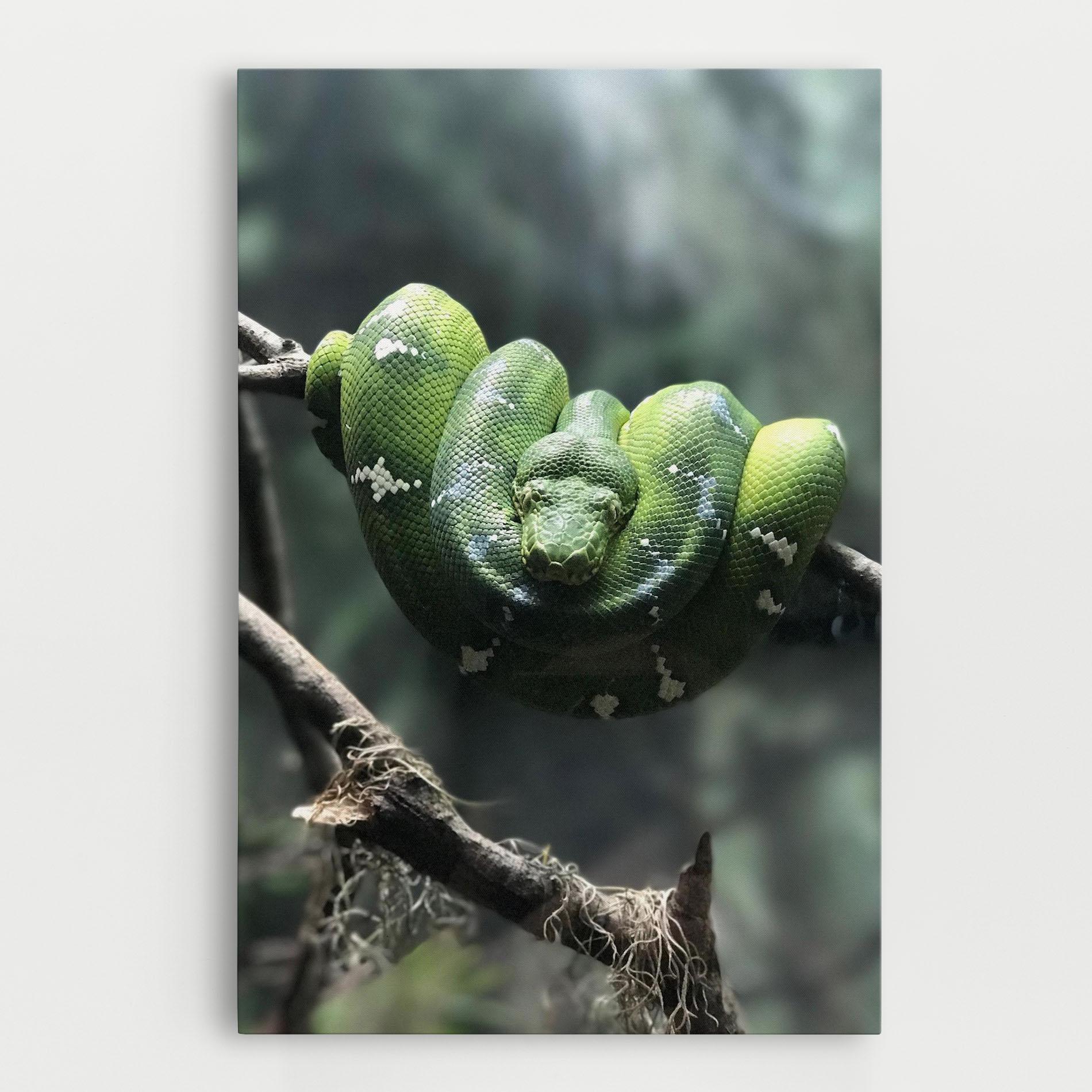 Tablou Canvas Sleepy Snake mockup 0
