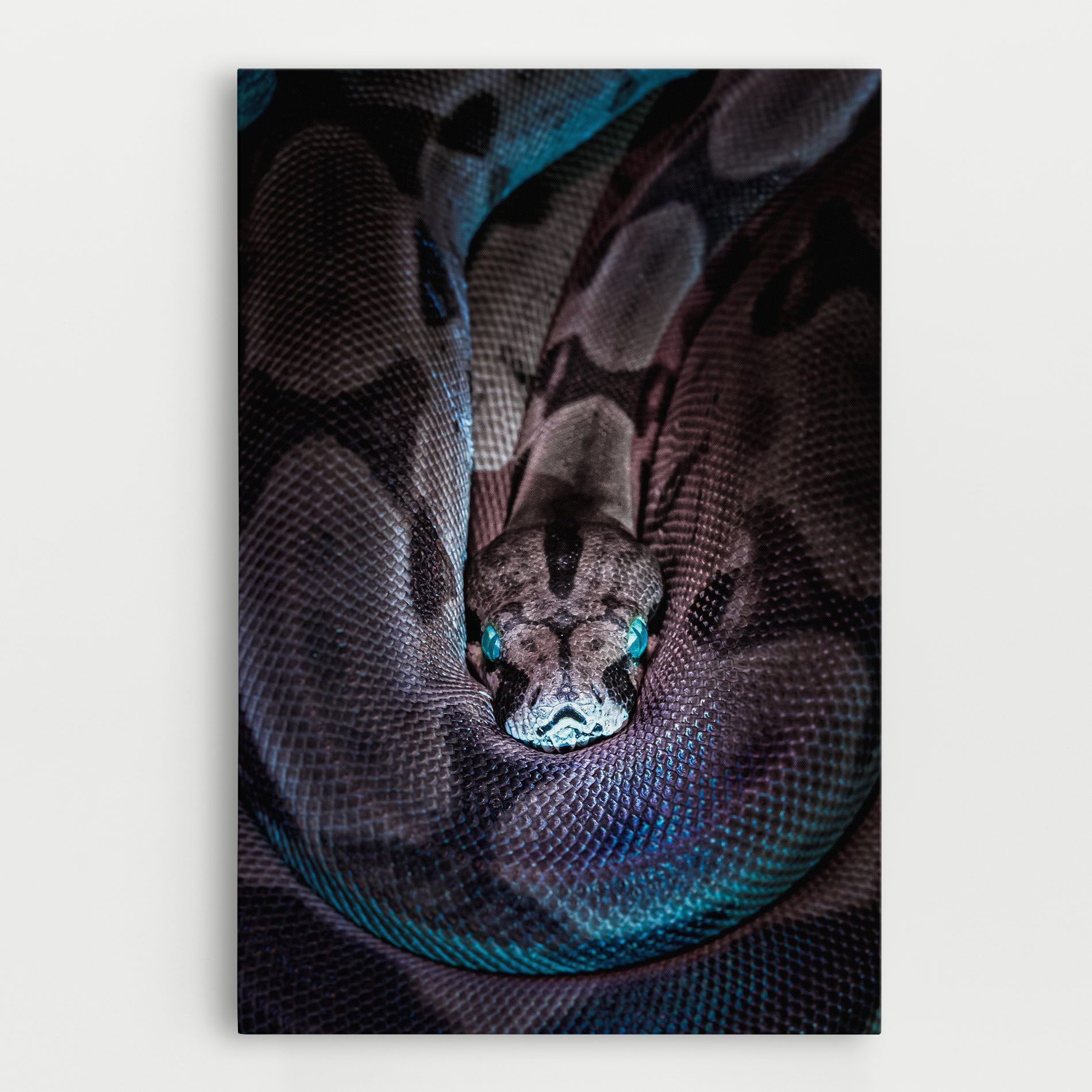 Vibrant Snake mockup 0