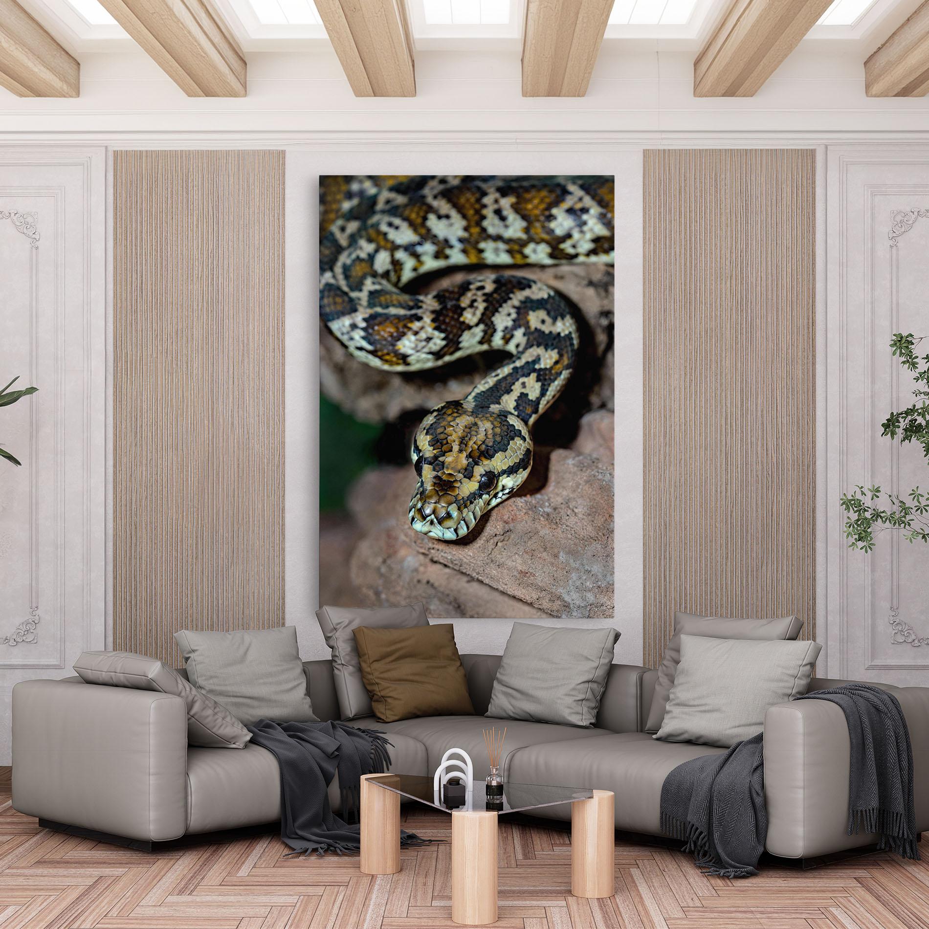 Tablou Canvas King Snake mockup 6