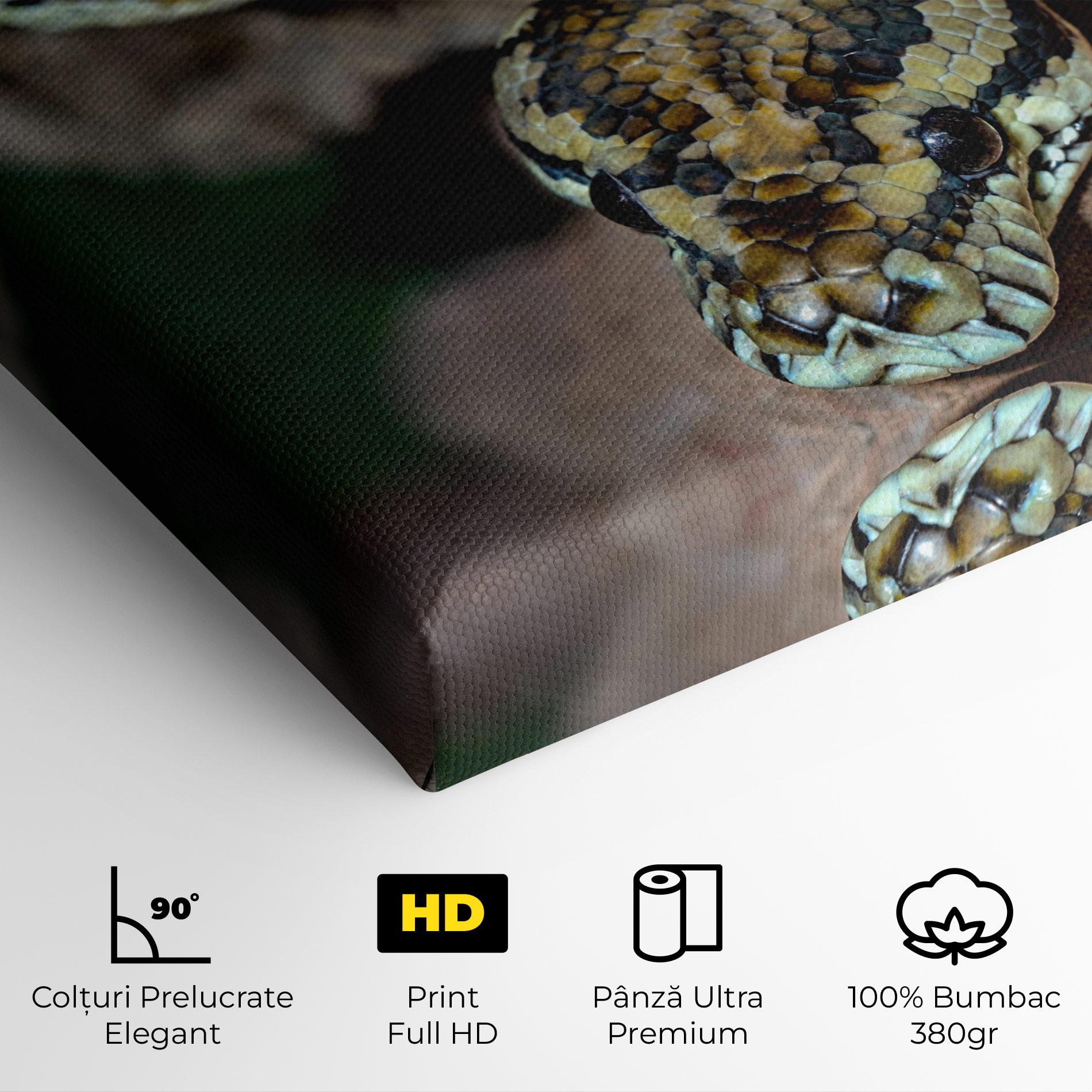Tablou Canvas King Snake mockup 4