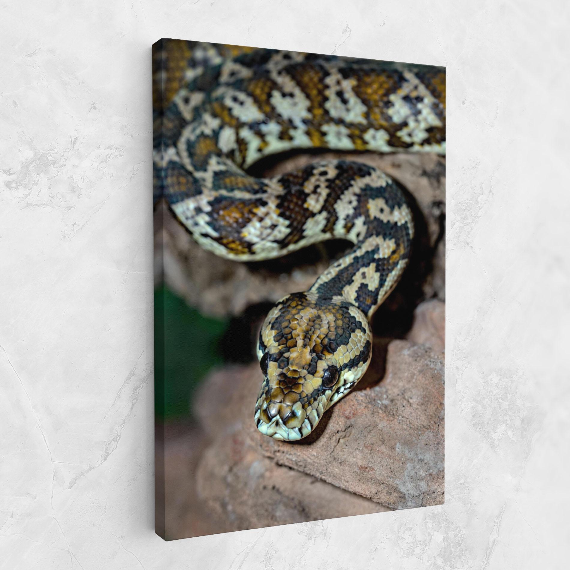 Tablou Canvas King Snake mockup 1