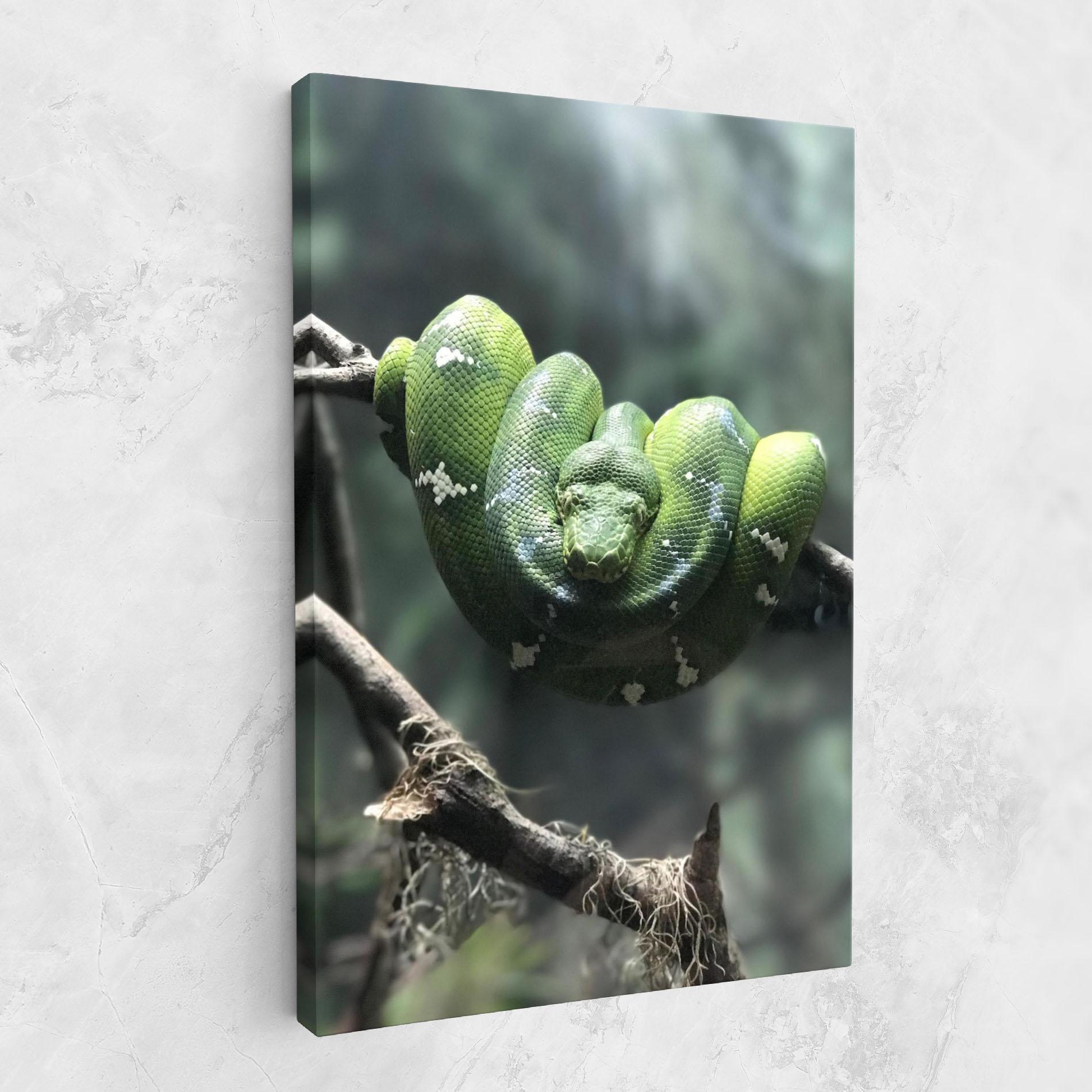 Tablou Canvas Sleepy Snake mockup 1