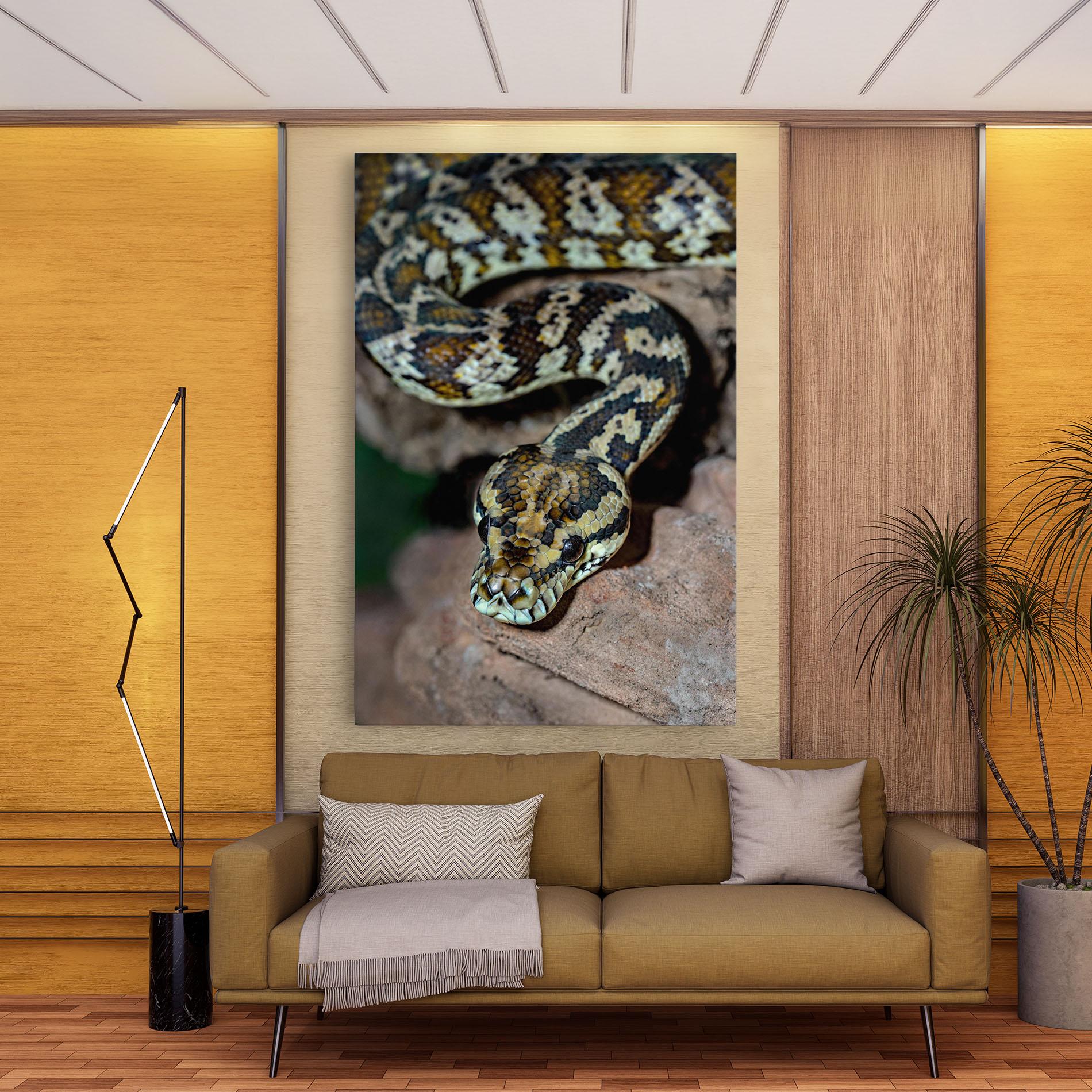 Tablou Canvas King Snake mockup 9