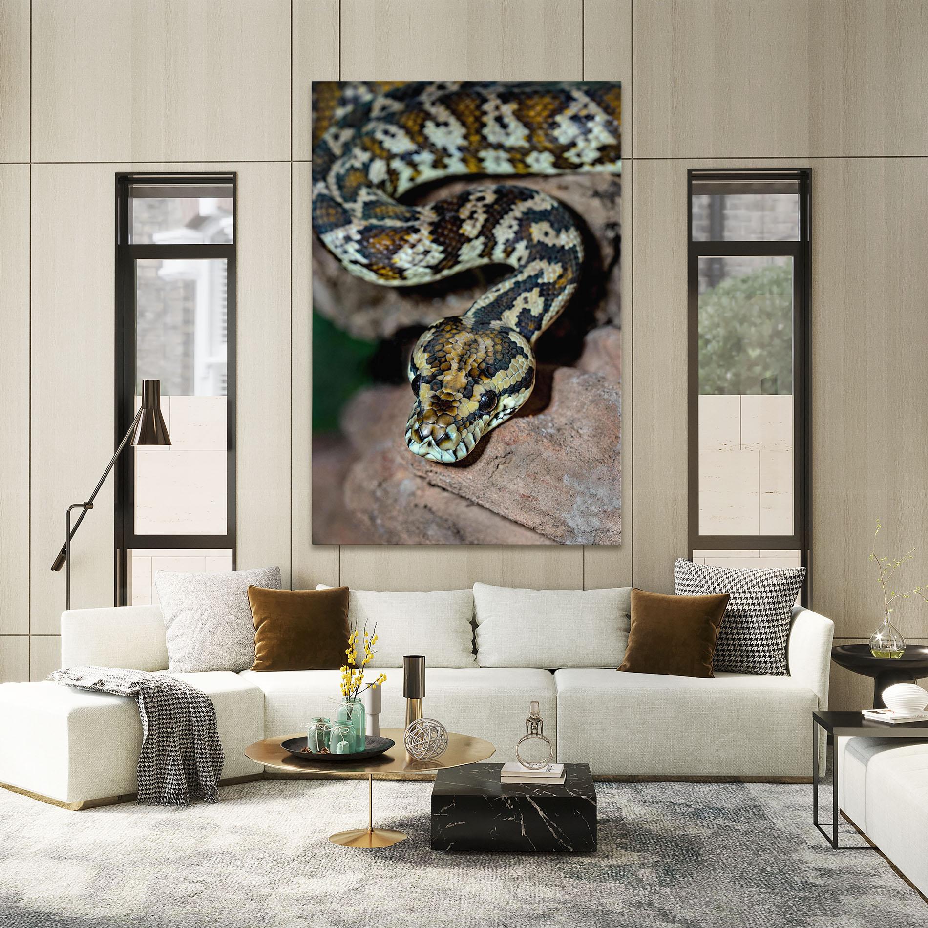 Tablou Canvas King Snake mockup 2