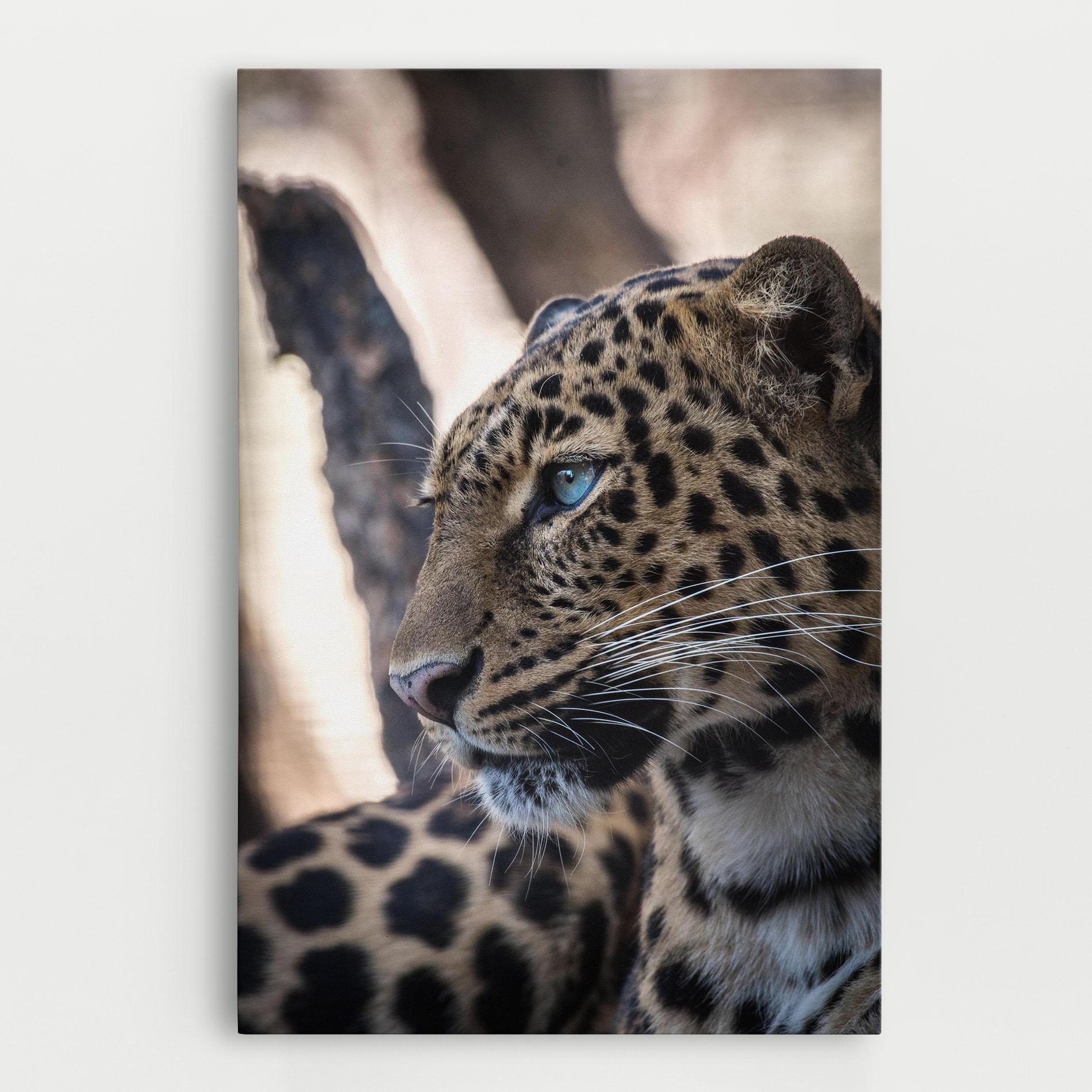 Tablou Canvas Blue Tiger mockup 0