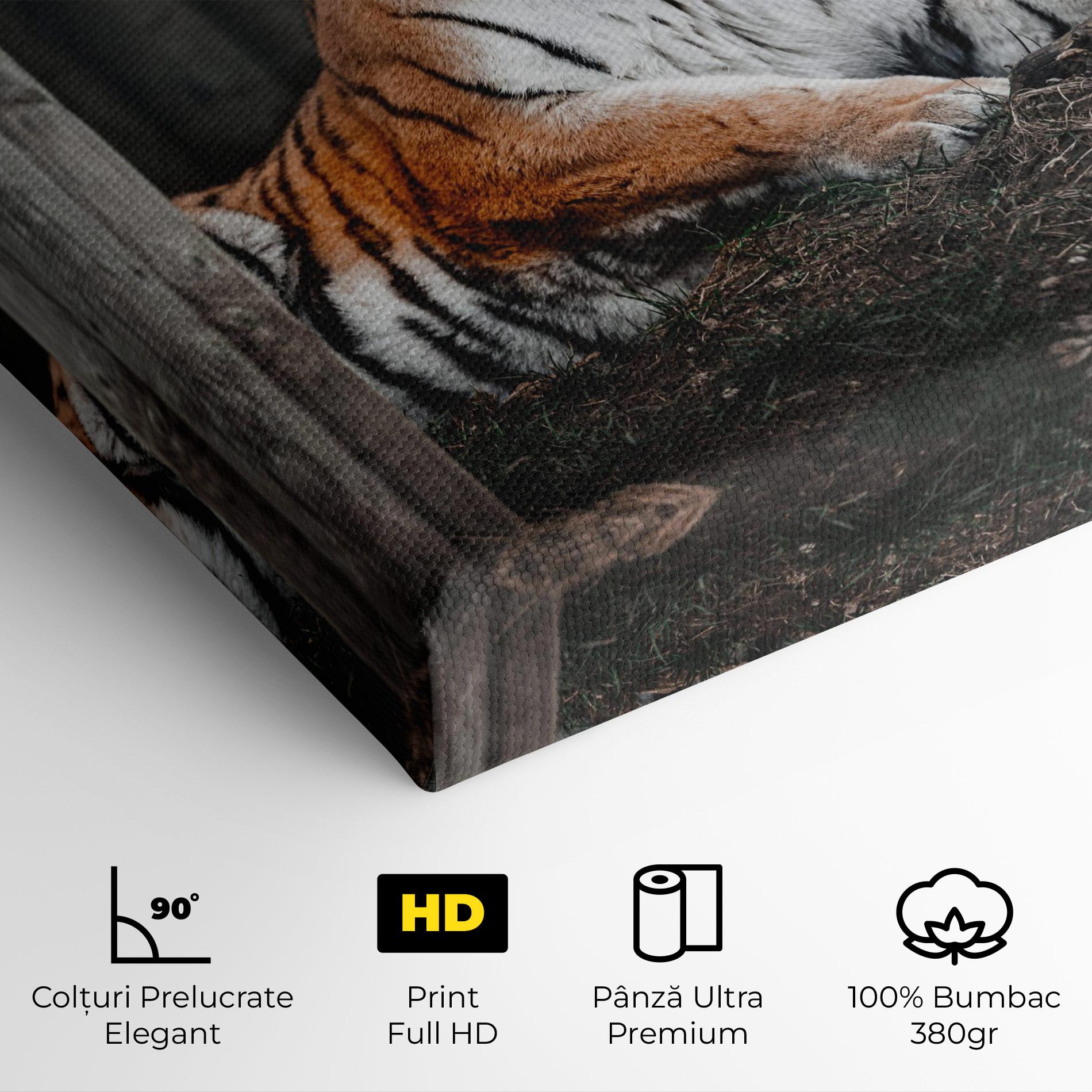 Tablou Canvas Forest Tiger mockup 4