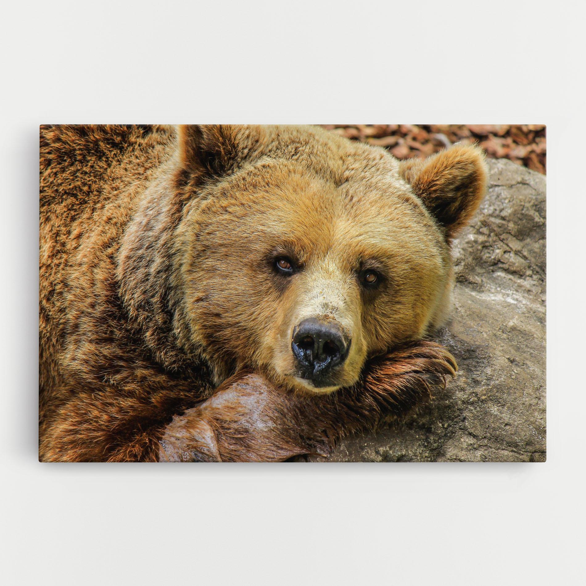 Tablou Canvas Bear mockup 0
