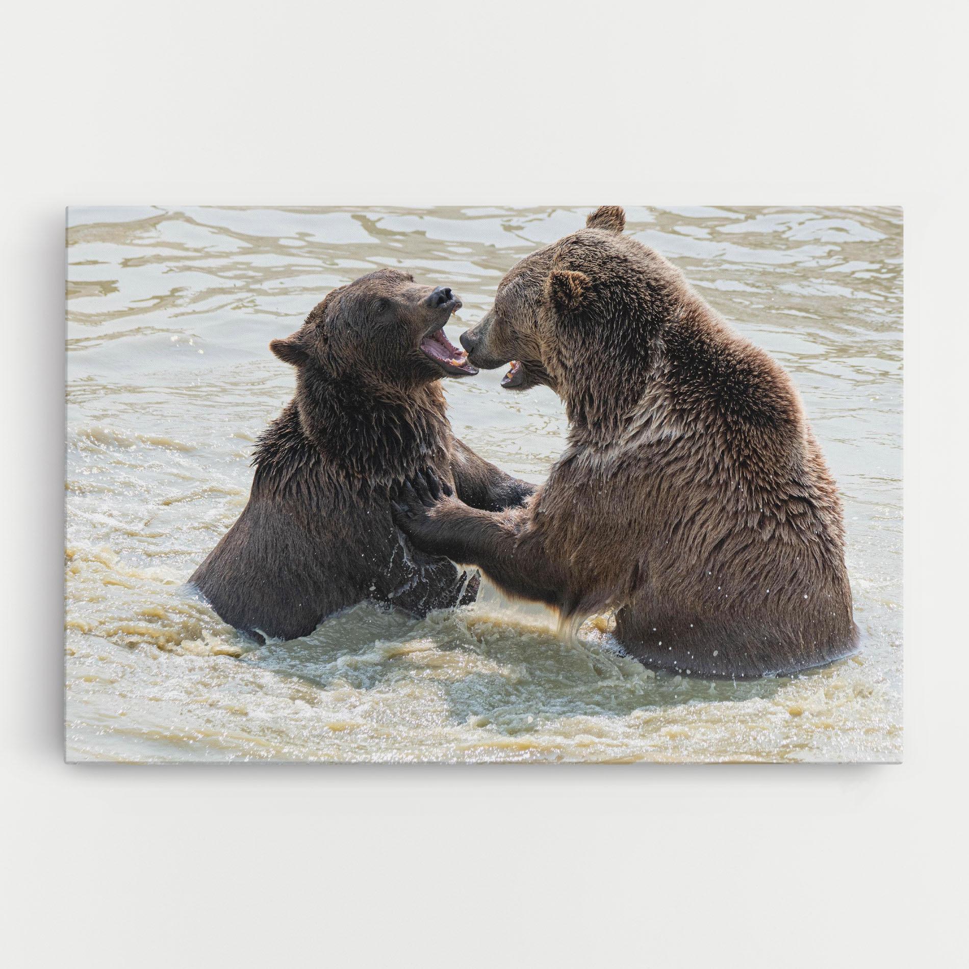 Tablou Canvas Bears Fighting mockup 0